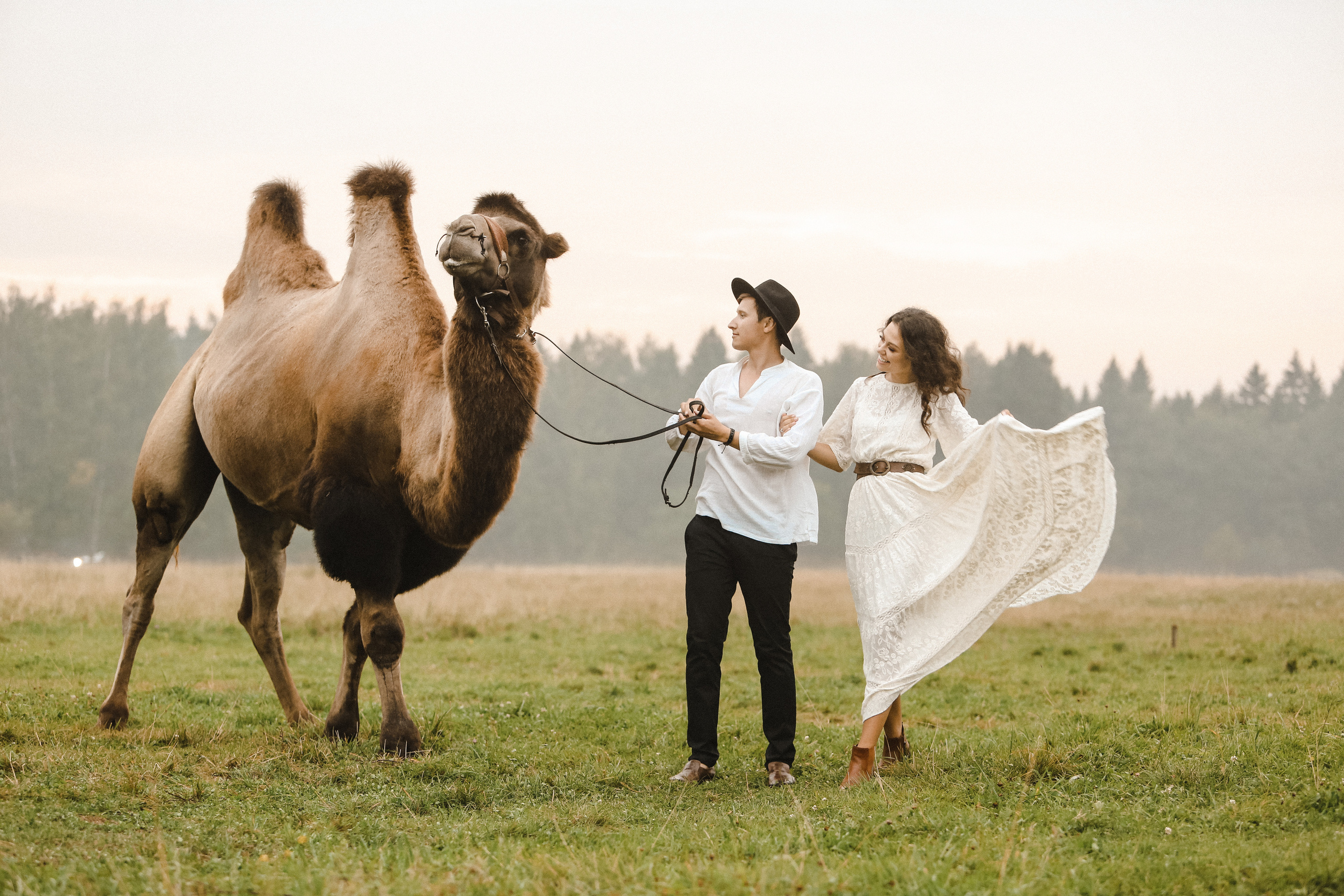 Кирилл и Катя. Фотограф и видеограф Анна Домашенко