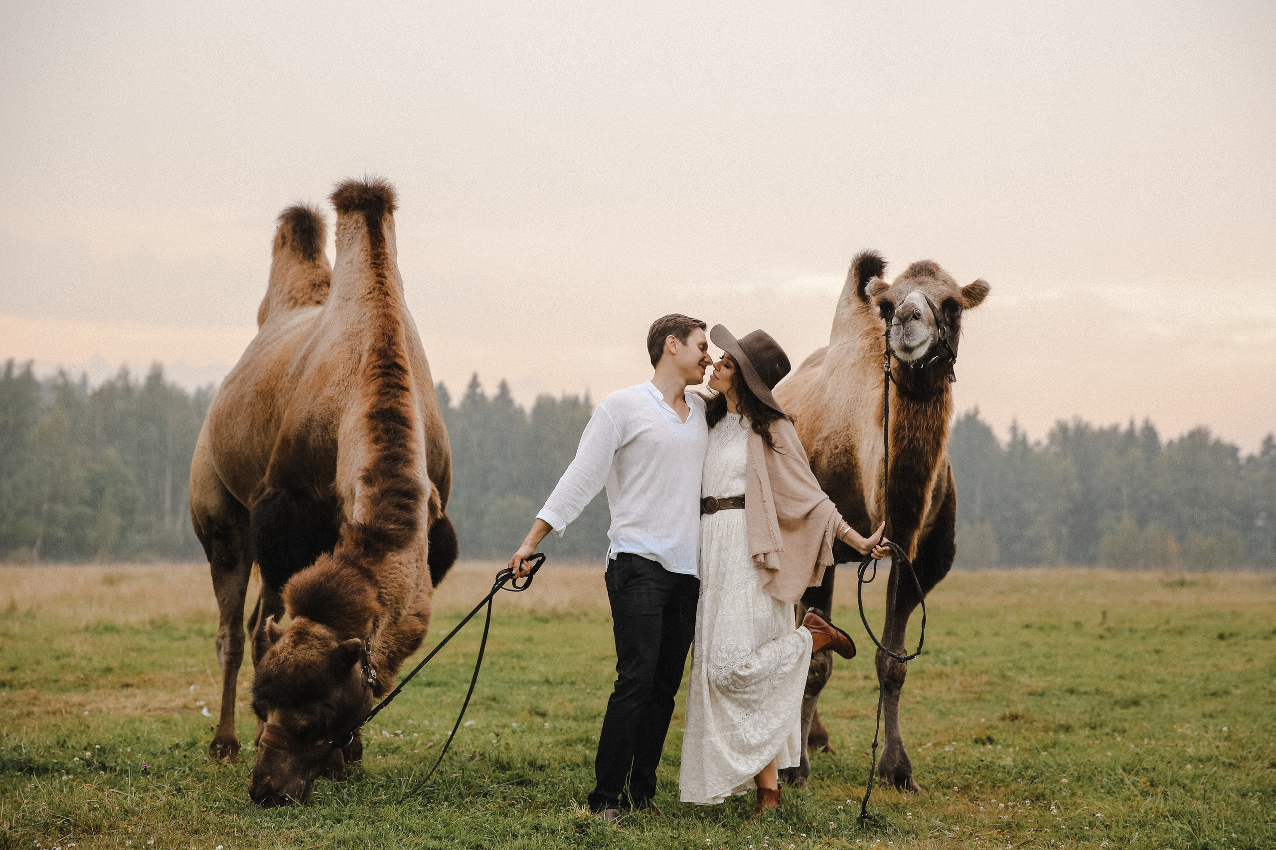 Кирилл и Катя. Фотограф и видеограф Анна Домашенко