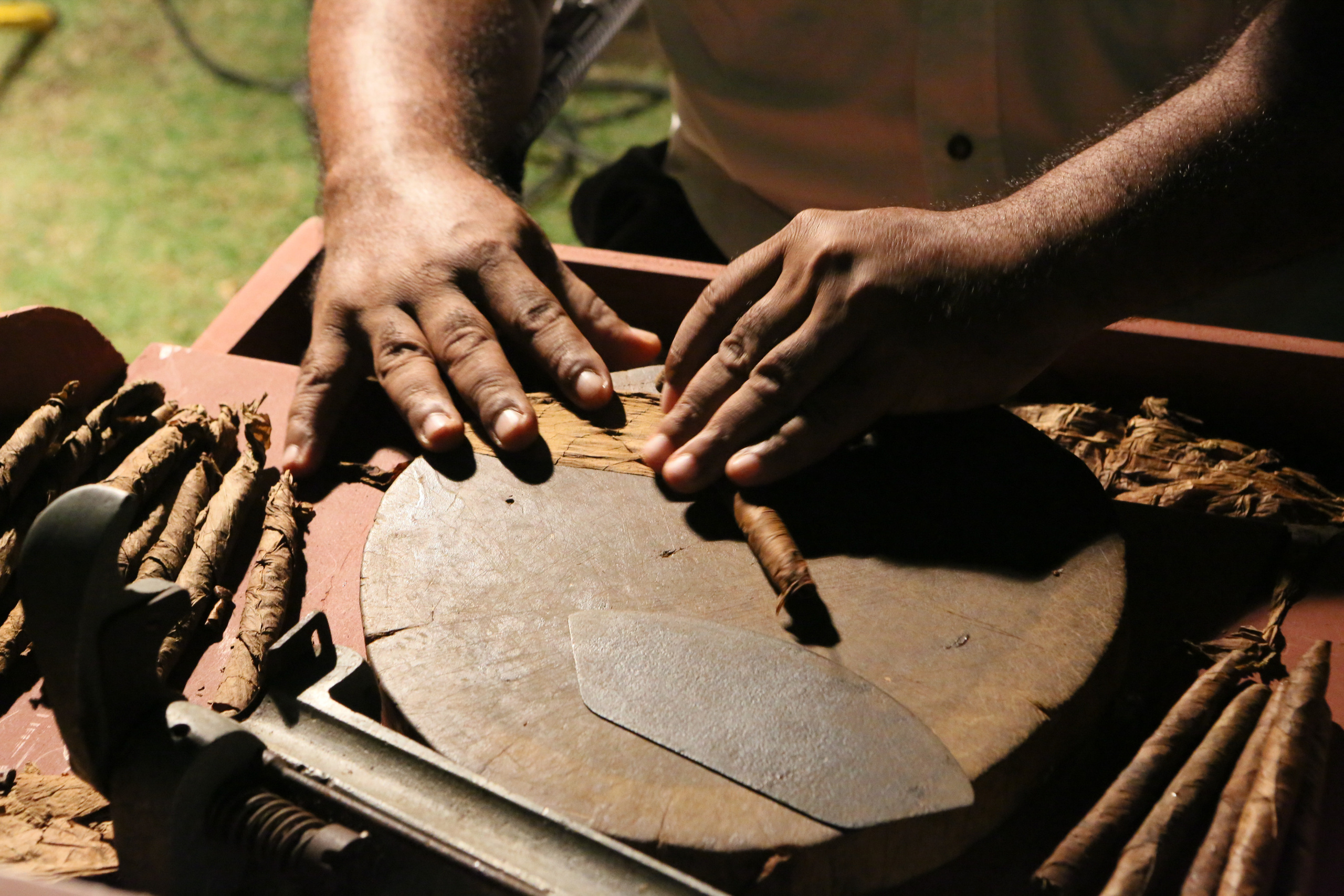 Лаборатория Касперского Доминикана SAS. Фотограф и видеограф Анна Домашенко