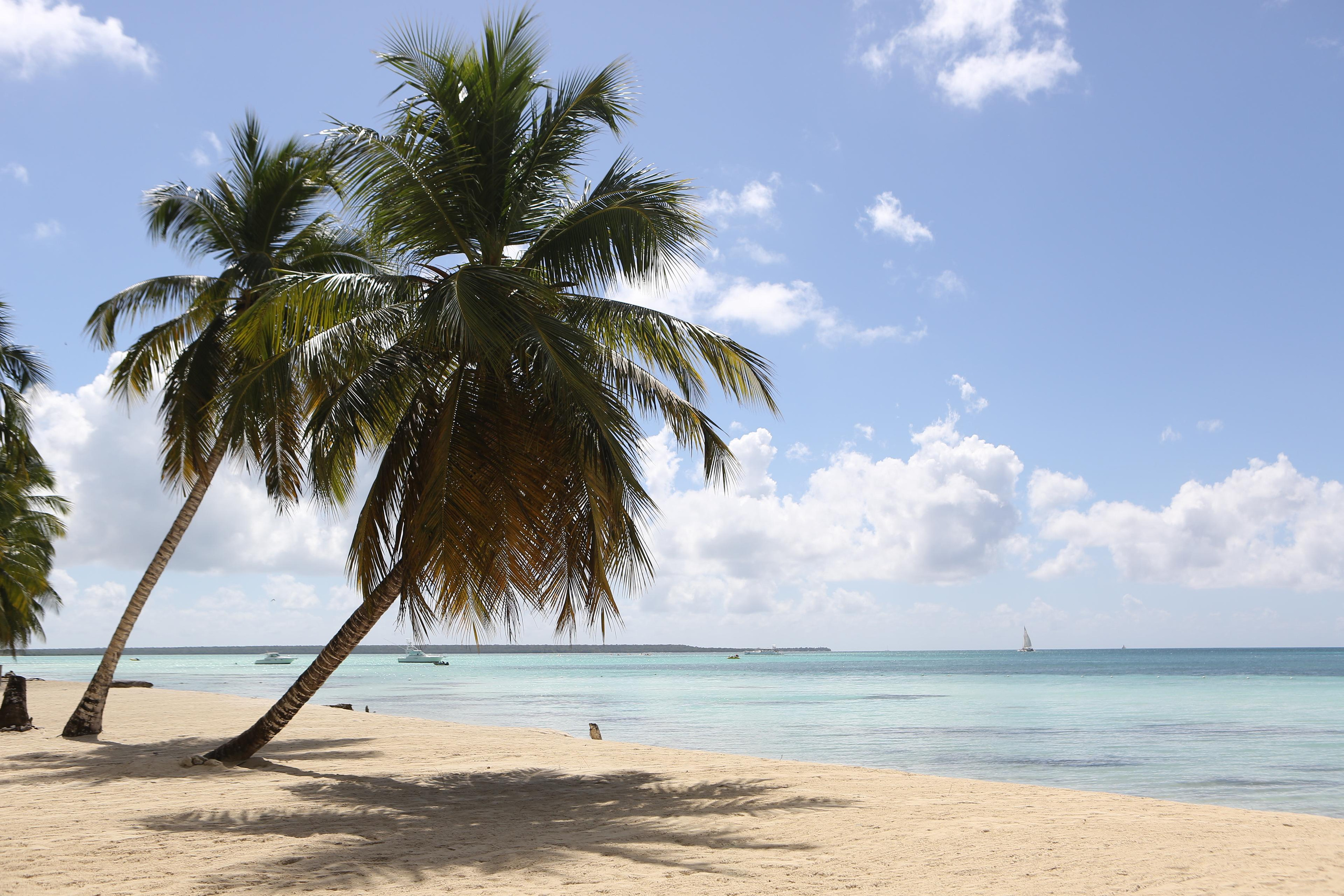 Лаборатория Касперского Доминикана SAS. Фотограф и видеограф Анна Домашенко