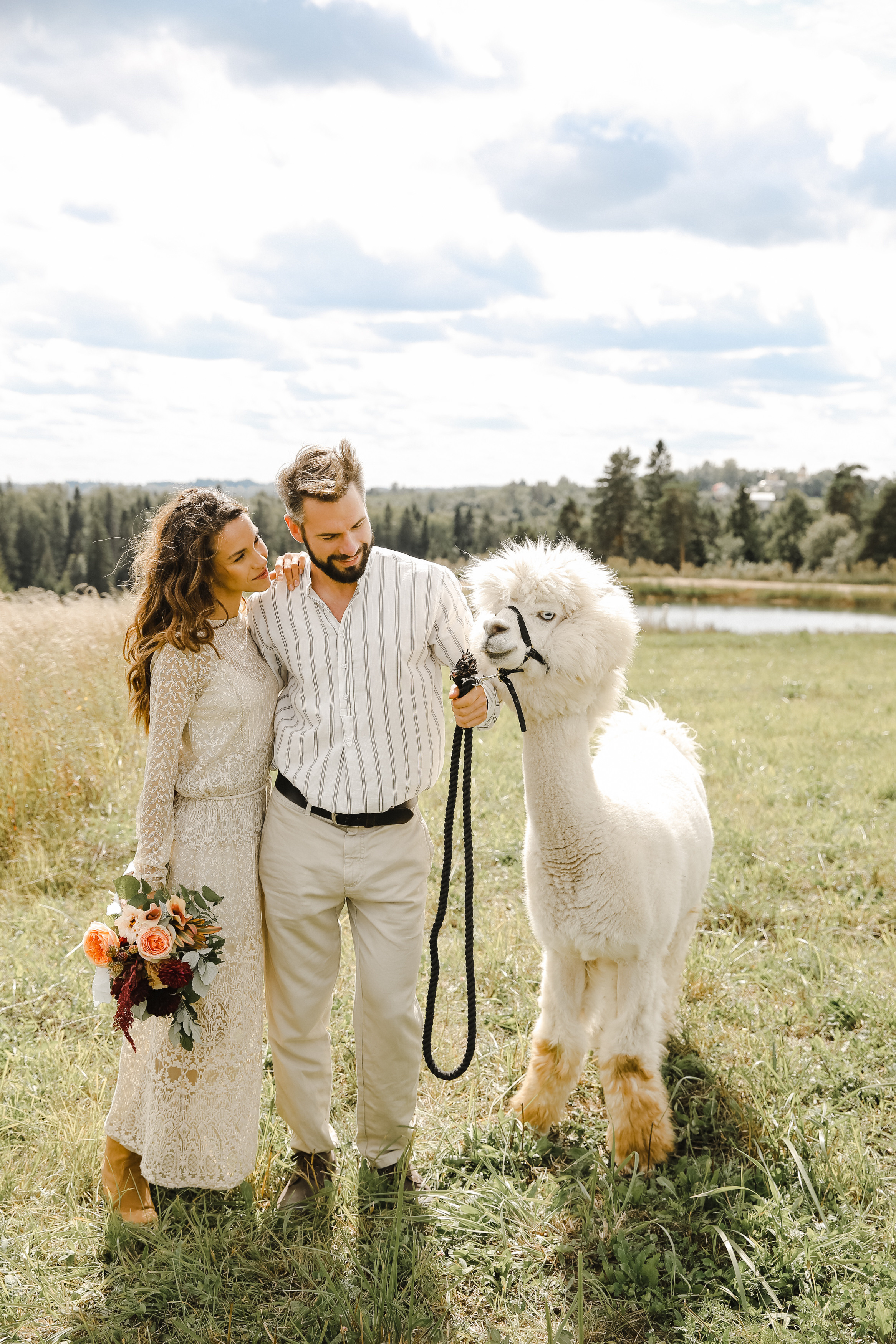 Ферма Альпаков Подмосковье. Фотограф и видеограф Анна Домашенко