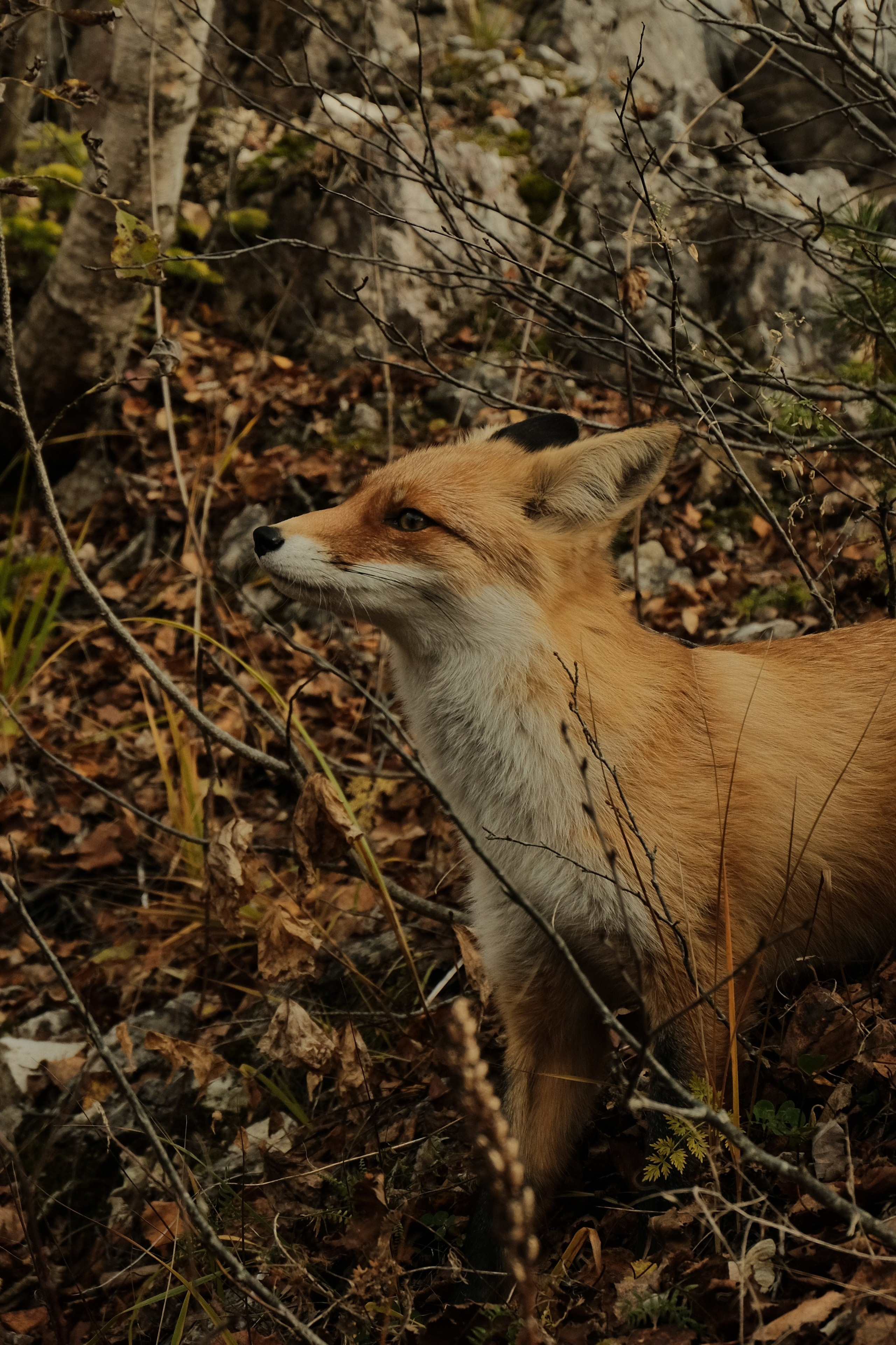 Arkhyz. Creative travel photographer — Berg Daria