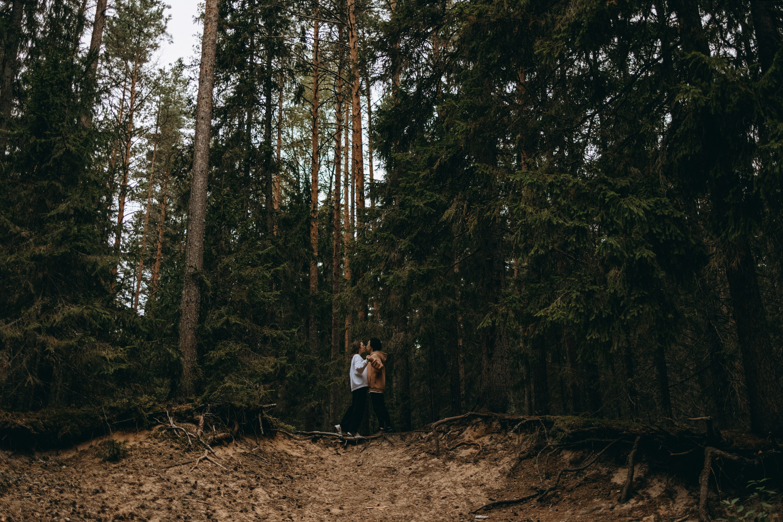 Фоси и его семьи. Фотограф — Анималист | Санкт-Петербург