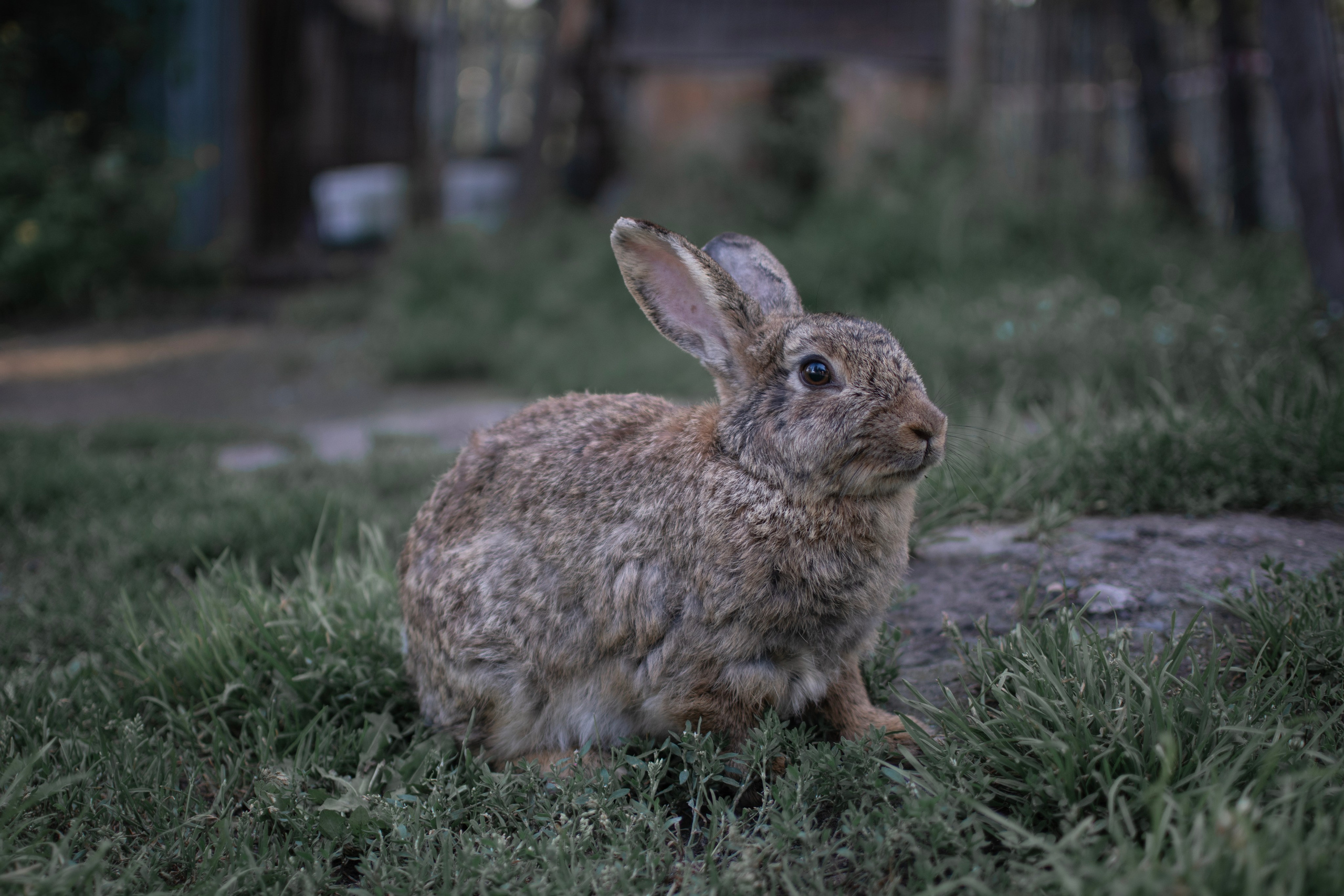 Фотограф Кемерово Андрей Зайцев