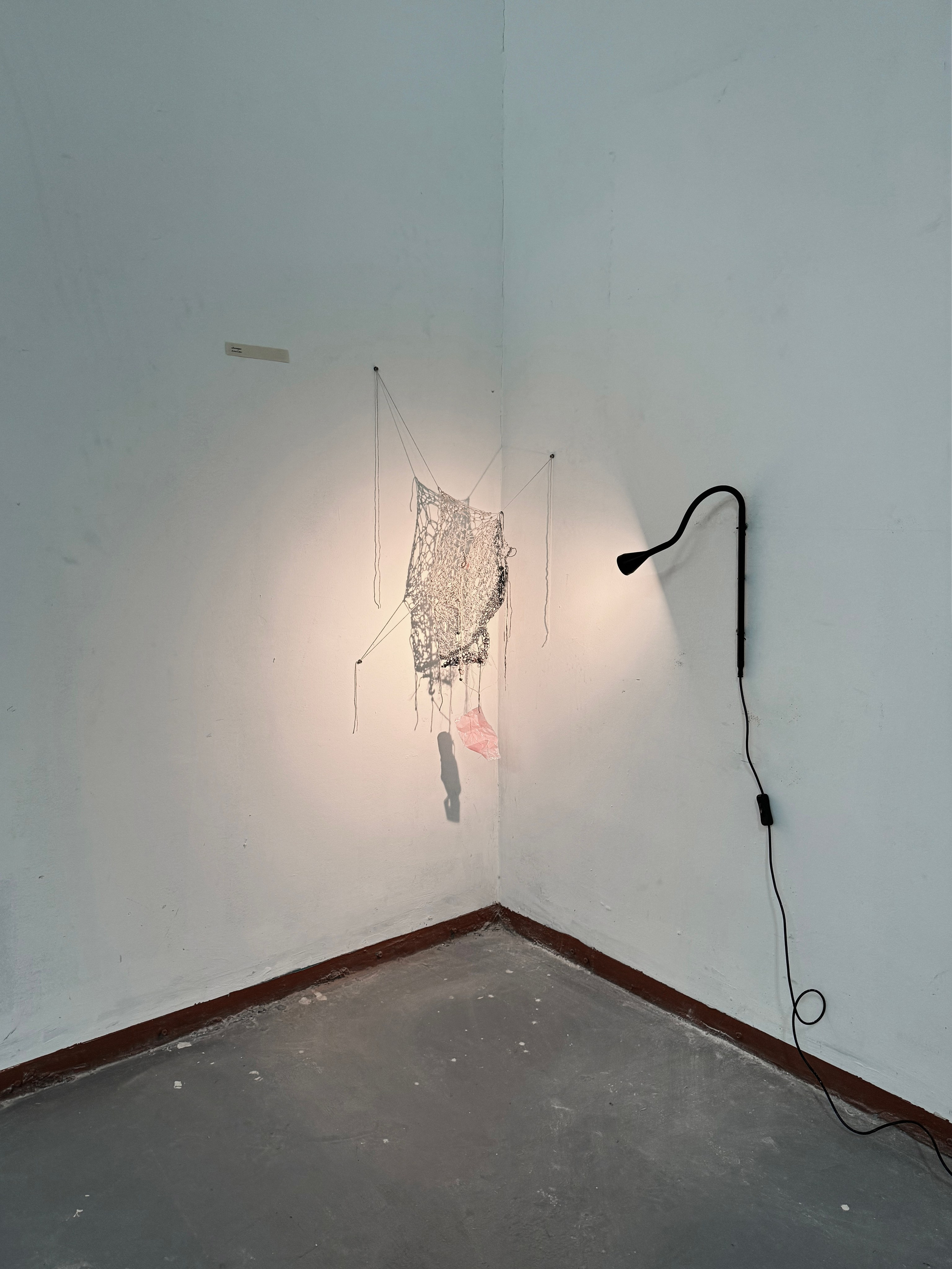 «Толька пришёл», групповая выставка, 14-28.12.2024, Часовой Завод, Ростов-на-Дону. Лера Круглова