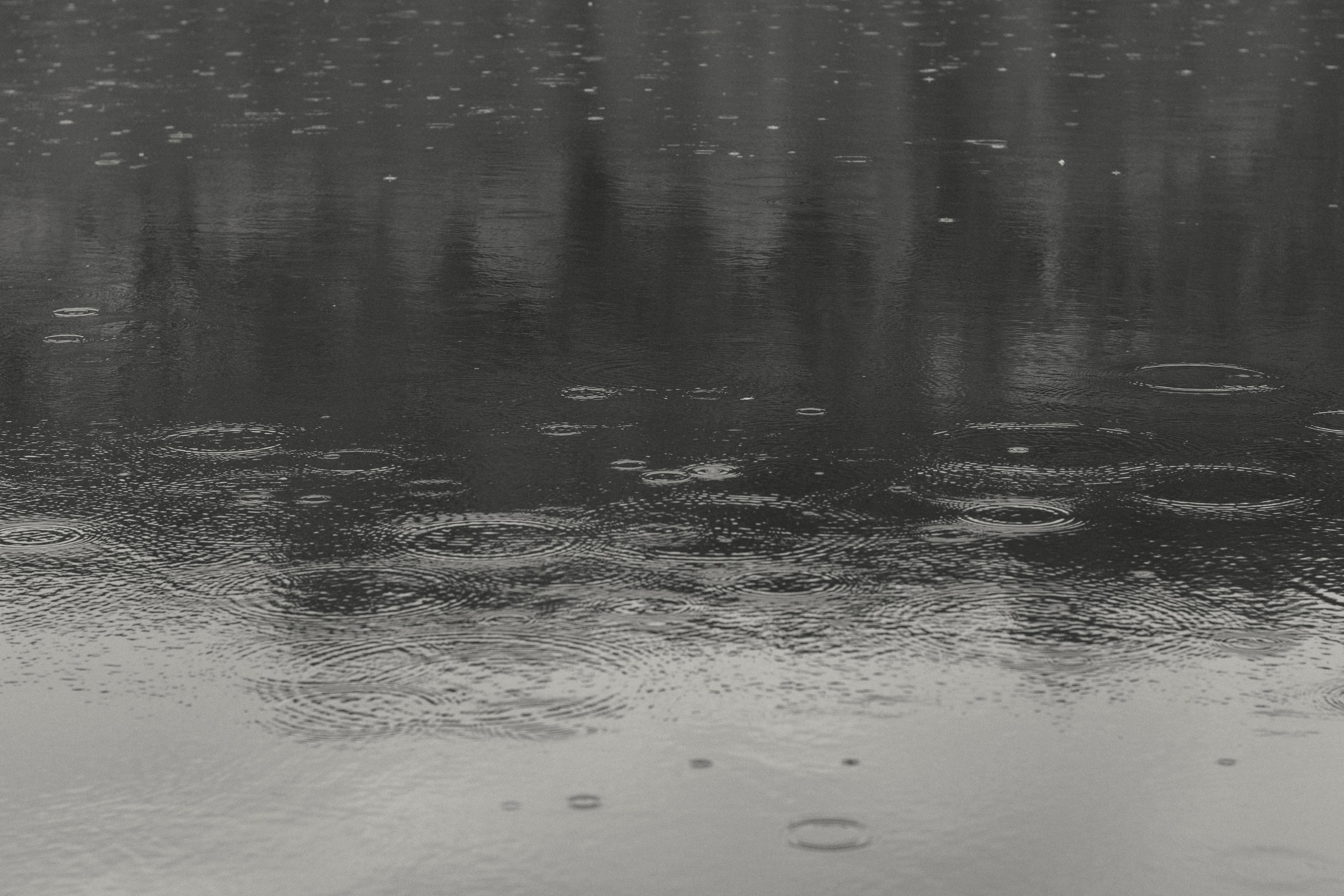 Alesya. Film Photographer in Da Nang, Vietnam — Tanya Parfenteva