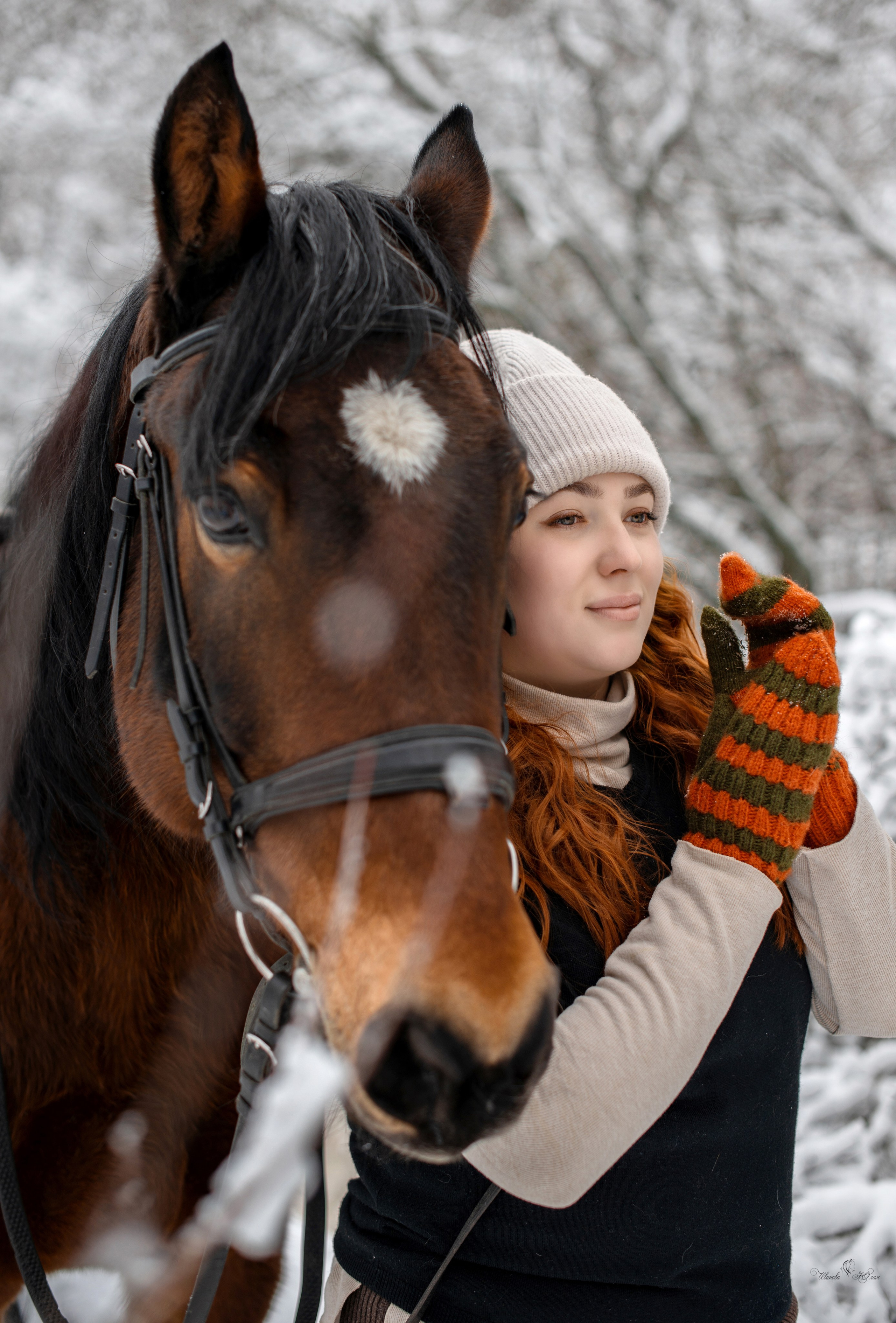 Елизавета и Холмогор. Конный фотограф в Саратове Юлия Иванова