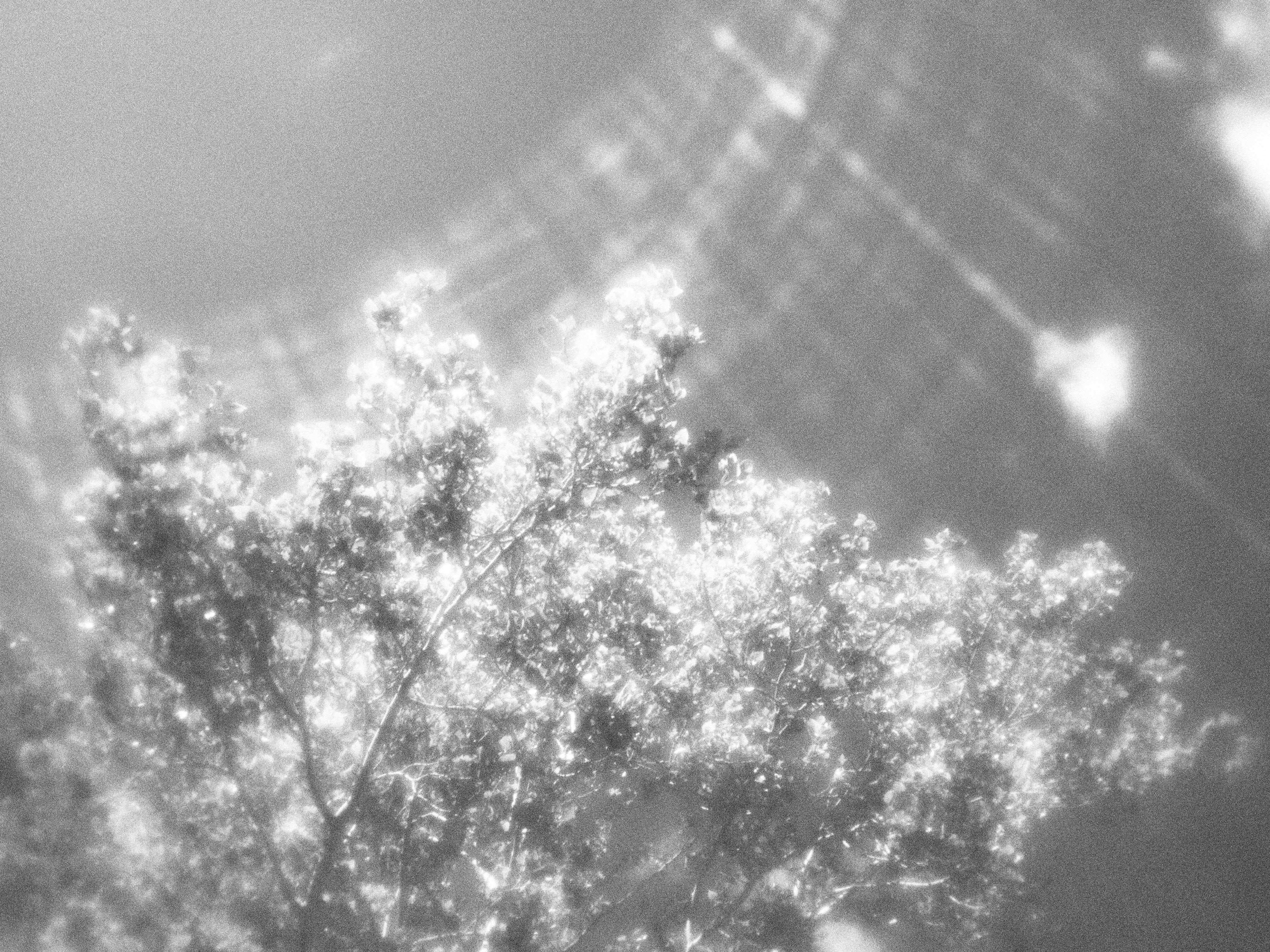 Внутривенные сны (2023)