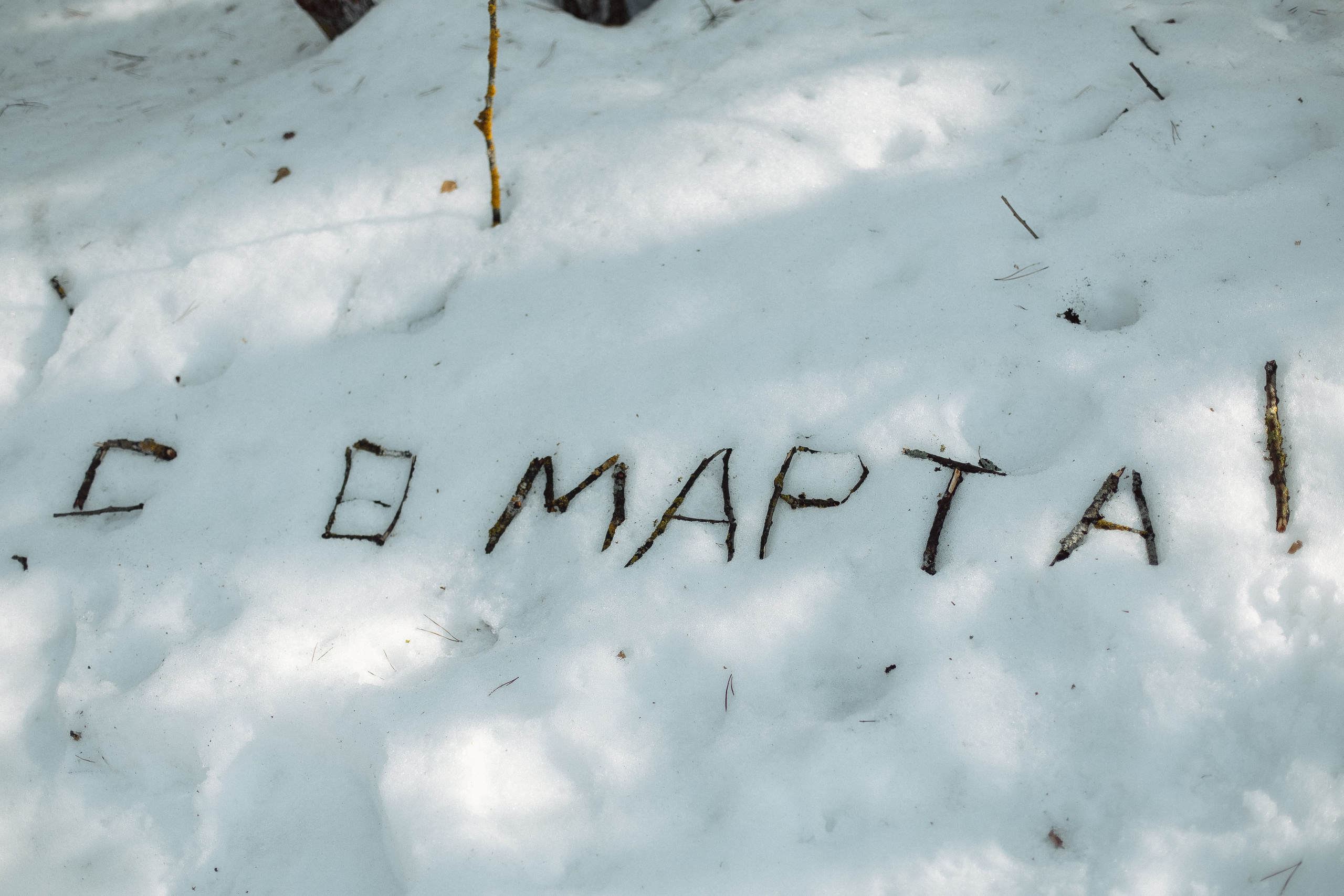 Экопарк ПОЛЯНЫ. Главная