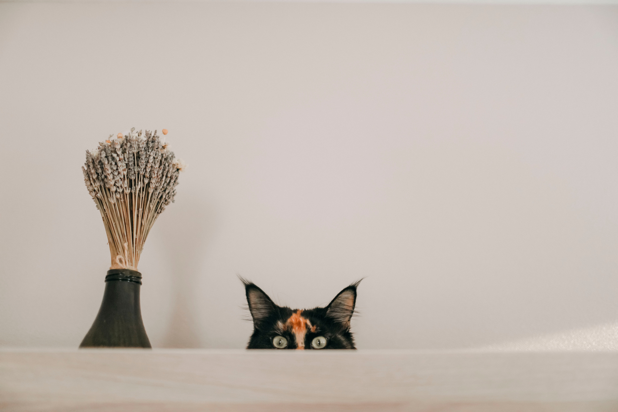 Семья. Фотограф в Москве Шаганова Нина