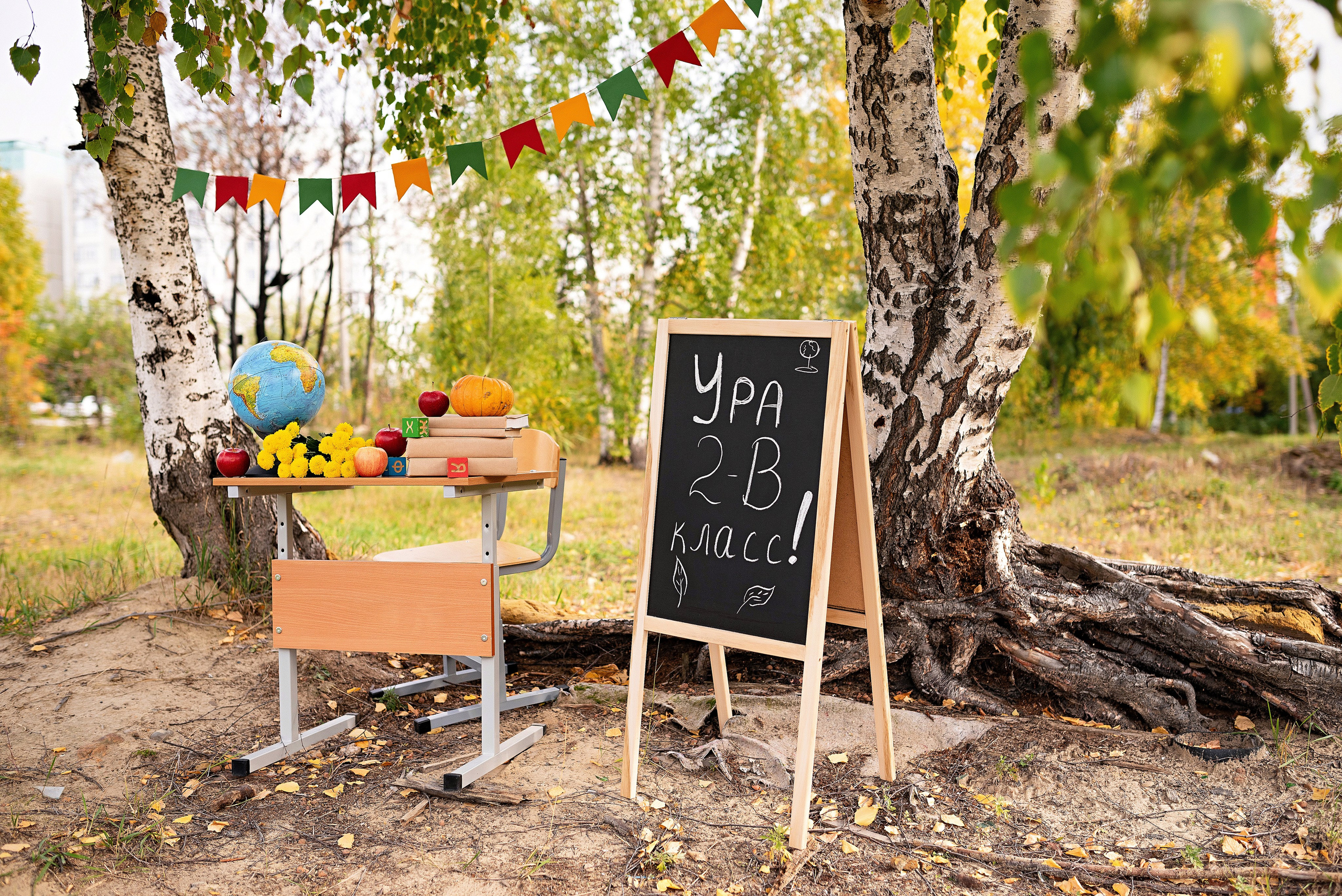 Школьный фотограф Сургут