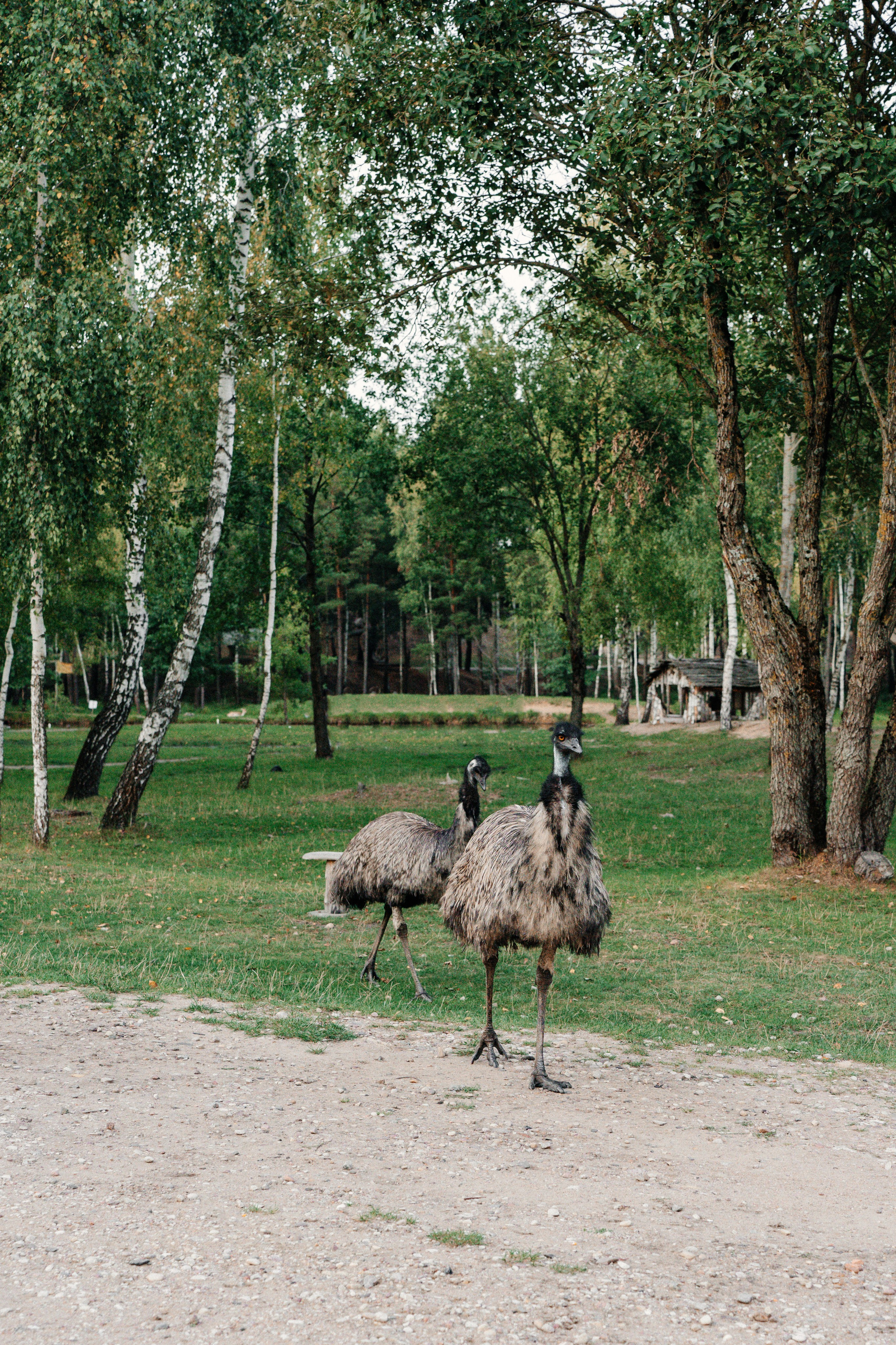 Диприз — в мире диких животных. Ваш семейный фотограф в Минске — Вика Трегубова