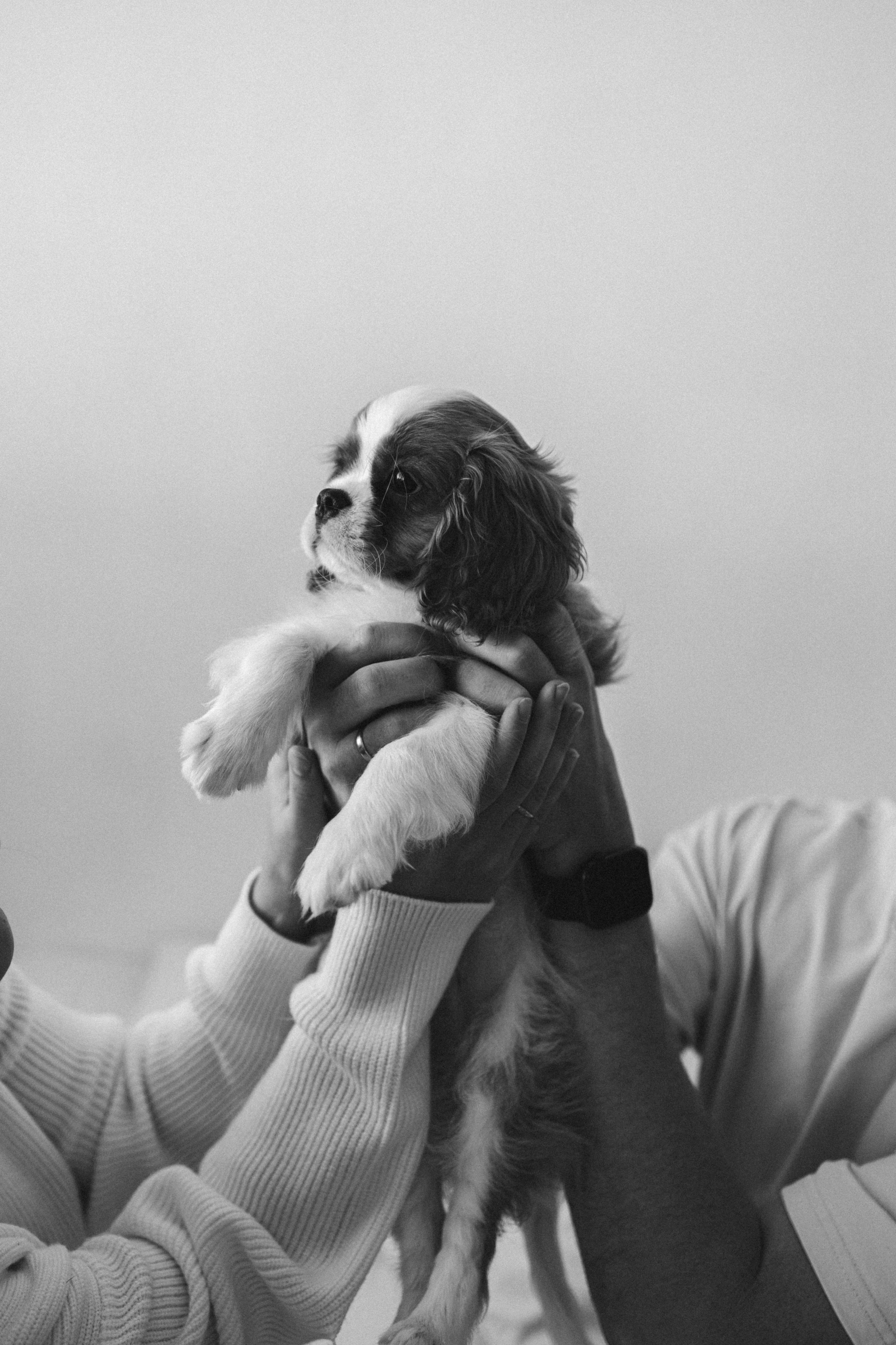 Ришат, Айгуль и пушистый малыш Йоко. Фотограф из Казани Мария Шамсутдинова