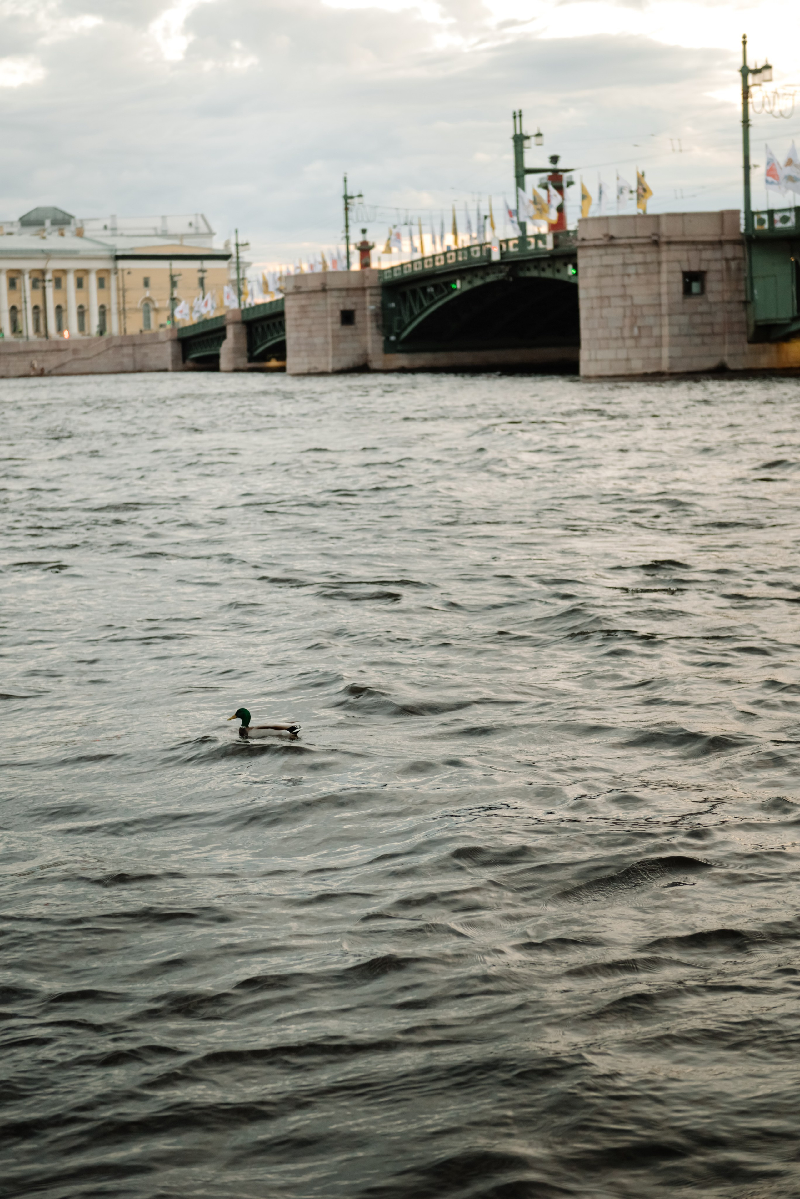 Ночь, ты и я. Свадебный и сеейный фотограф в Санкт-Петербурге Елена Худякова