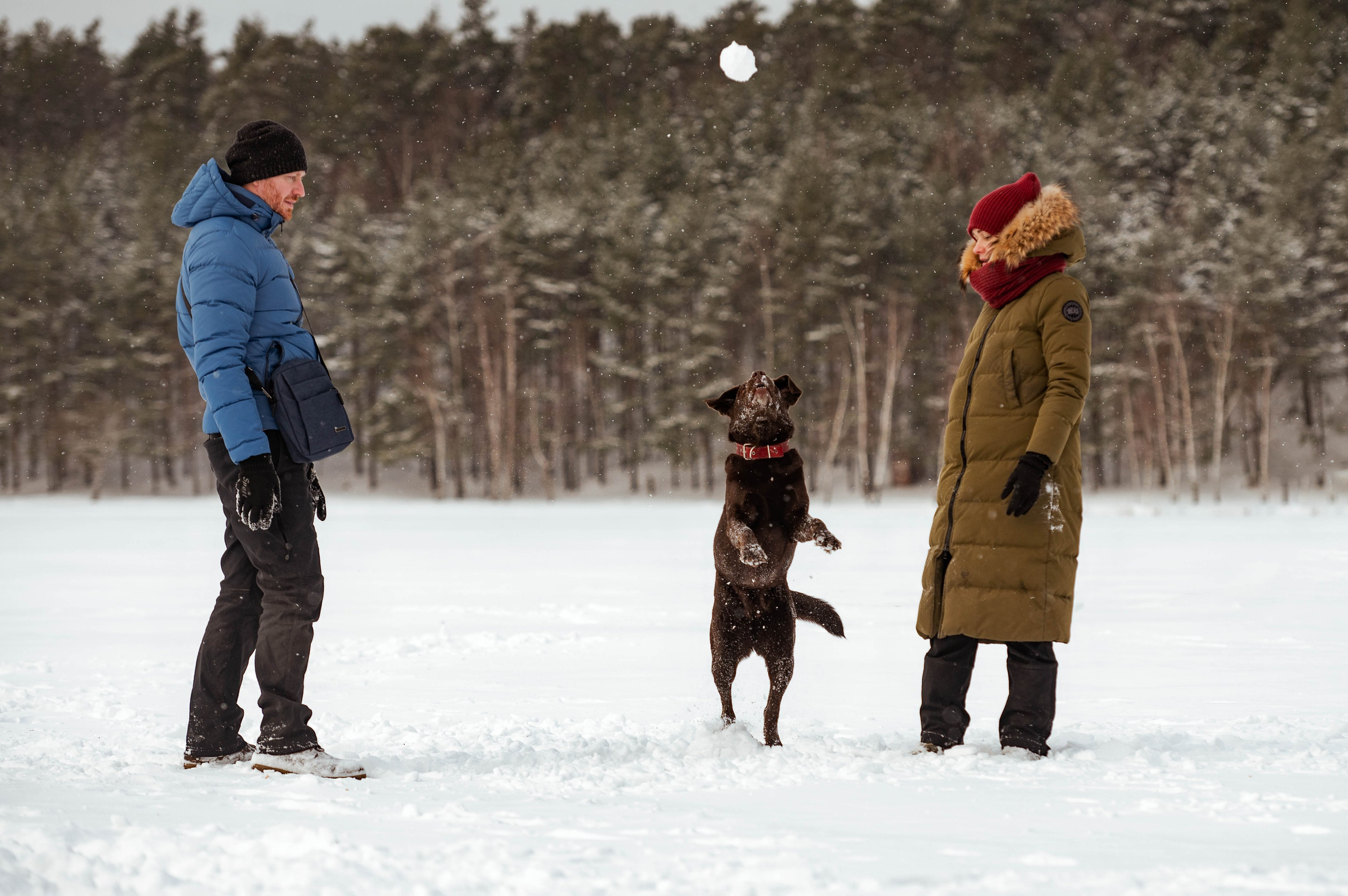Прогулка на Лыткаринском карьере. Фотограф-анималист