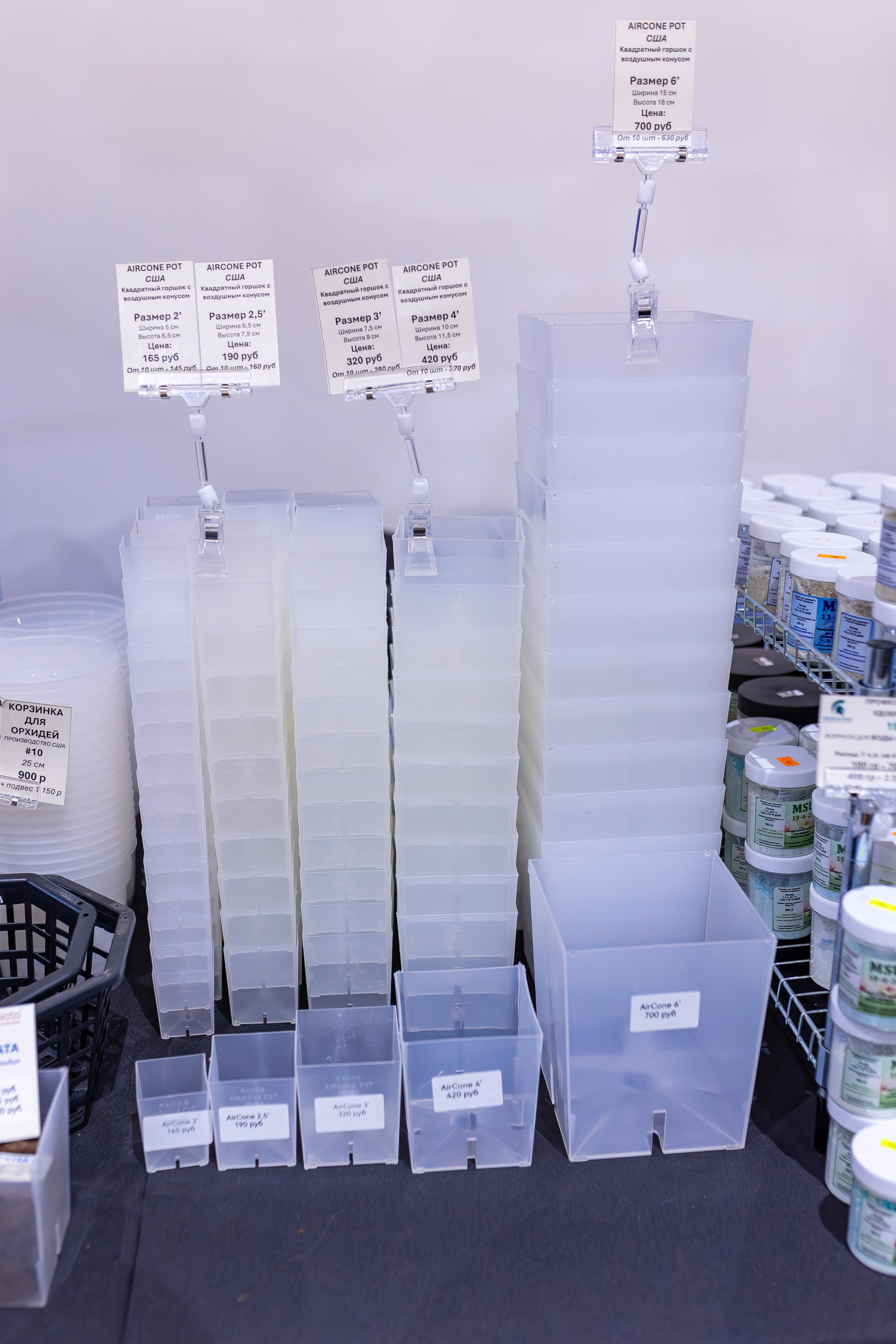 Орхидиум 12.2025. Александра Куликова фотограф, Москва