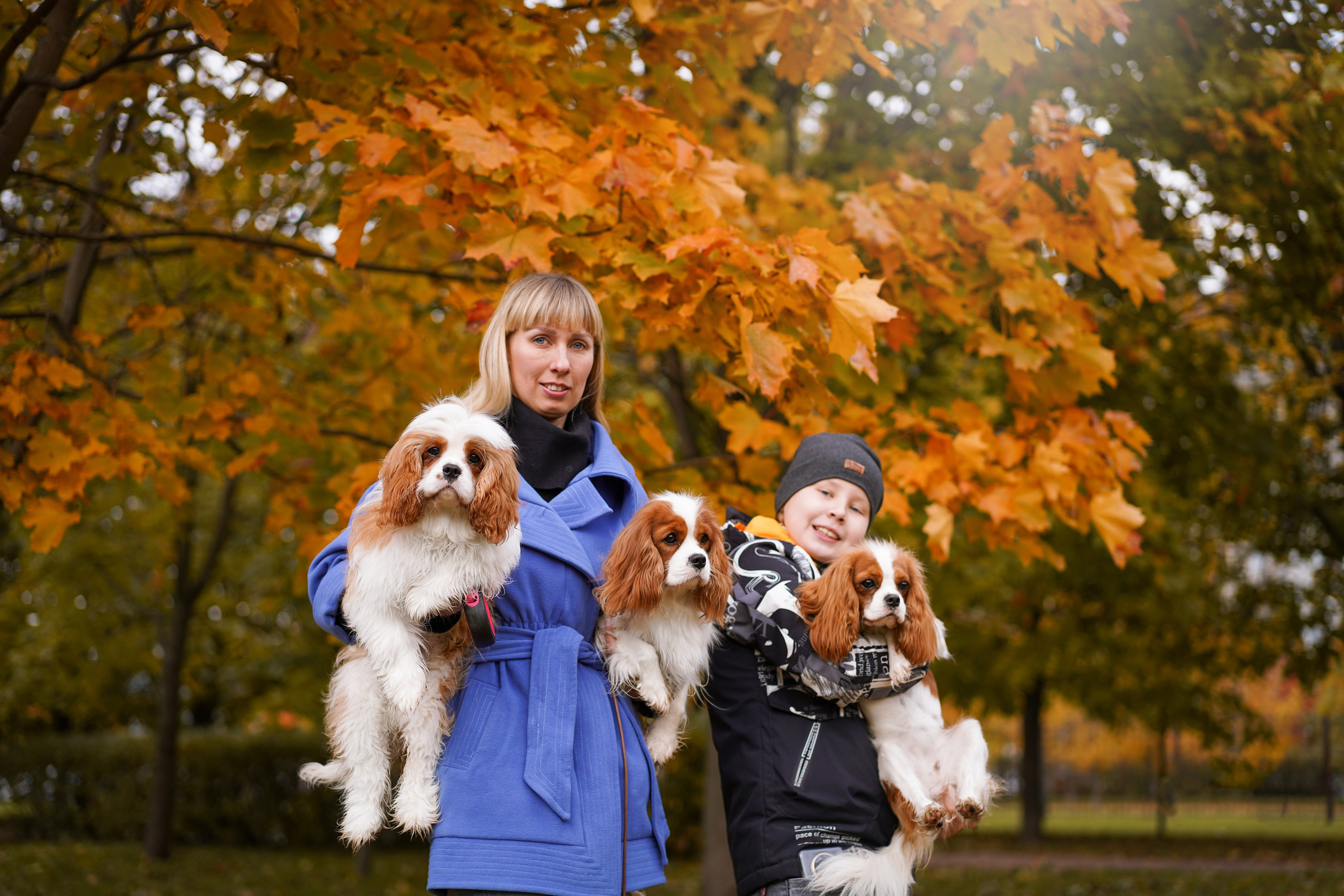 Катя Валера Саша и кавалерчики. Фотограф-анималист в Санкт-Петербурге Яна Мартынова