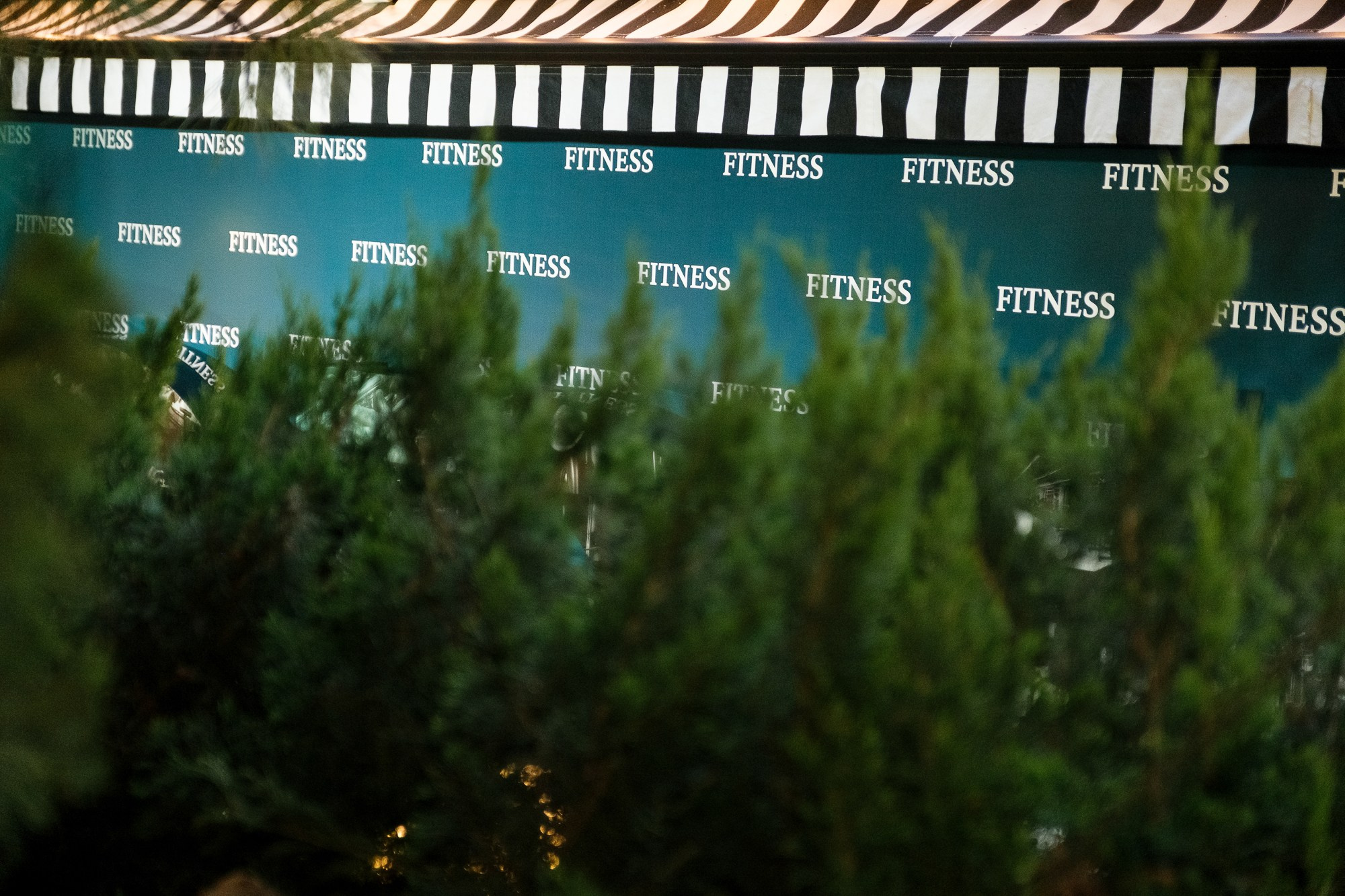 DDXfitness25. Свадебный Видеограф Фотограф в Сочи