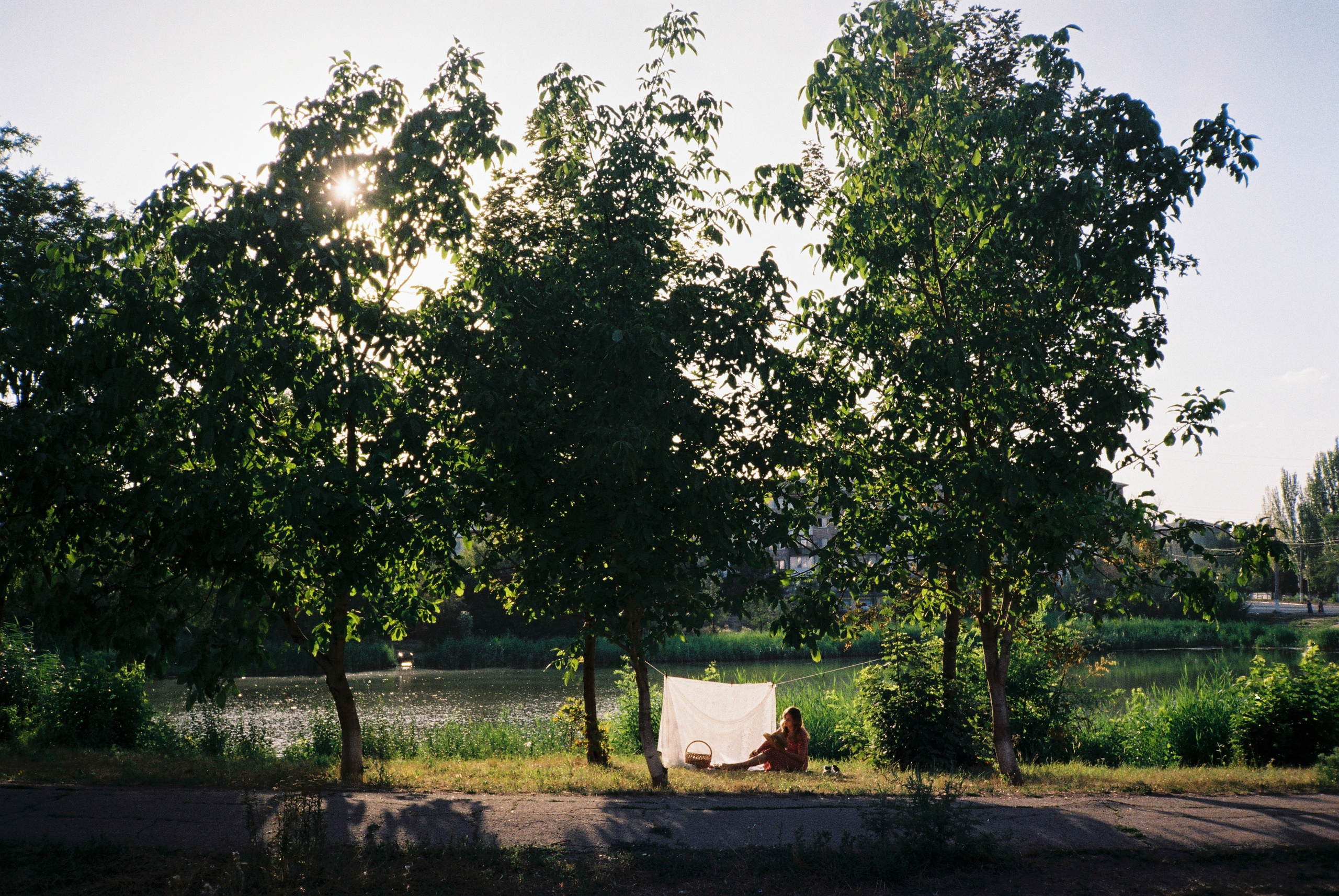 Пикник. • Фотограф Александра Светозар Алчевск •