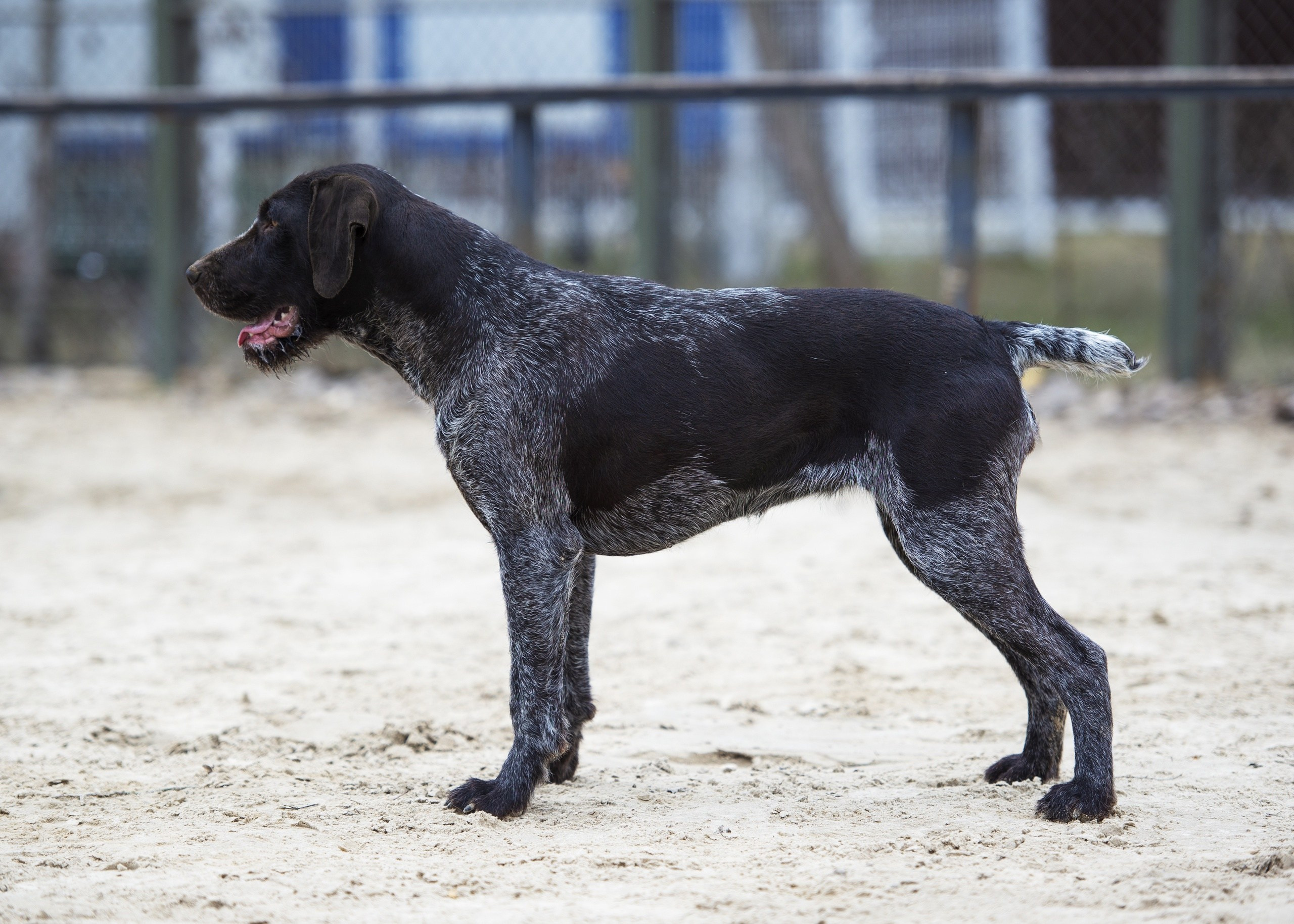 Фотографии. Главная