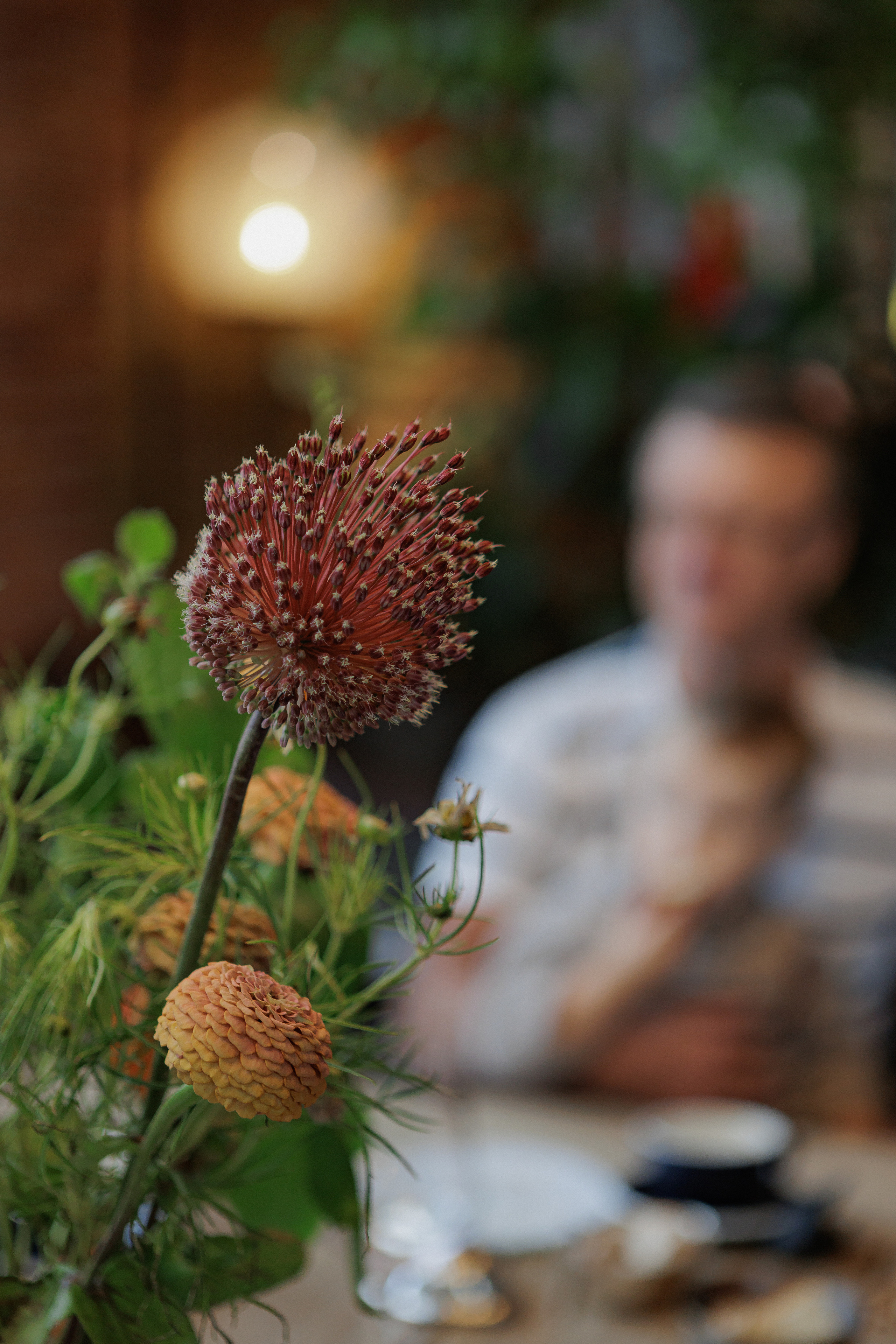 Семейная съемка спб, семейный завтрак в ресторане, фото с детьми, детская съемка спб, семейный фотограф Санкт-Петербург, Cococo bistro, Новая Голландия, фотосессия в новой голландии