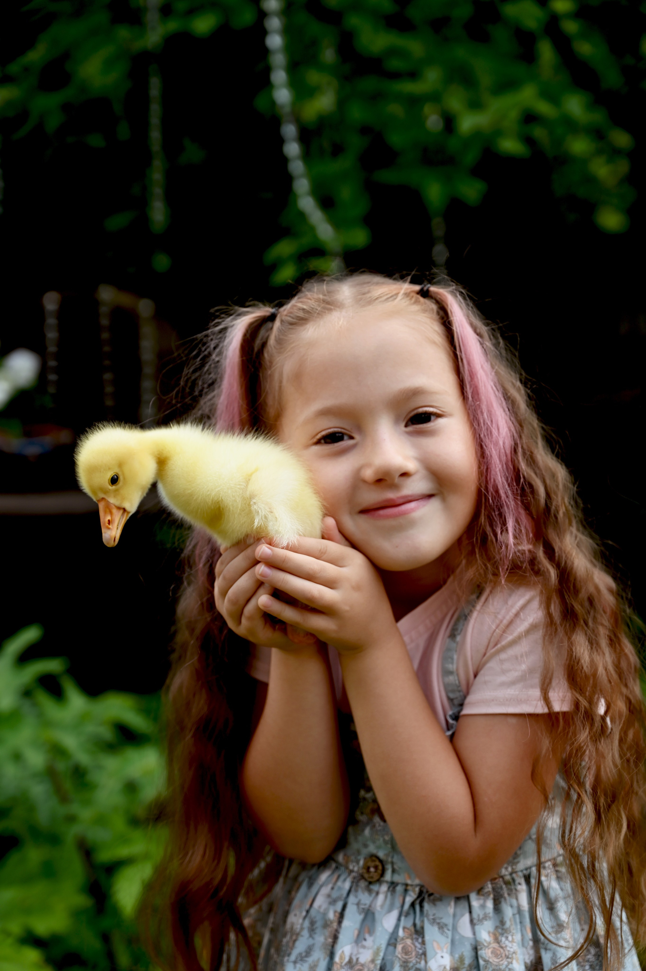 Дети и гусята. Семейный и детский фотограф в Хакасии
