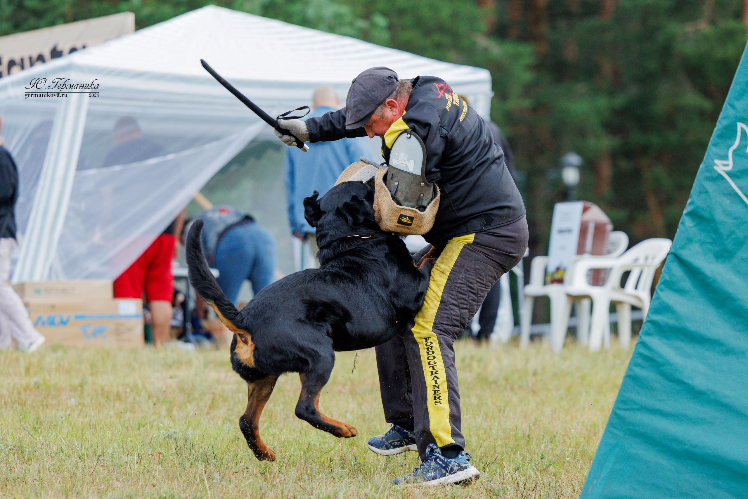 ПК и КЧК ротвейлеры Тверь 6-7.07.2024. Фотограф-анималист Юлия Германика