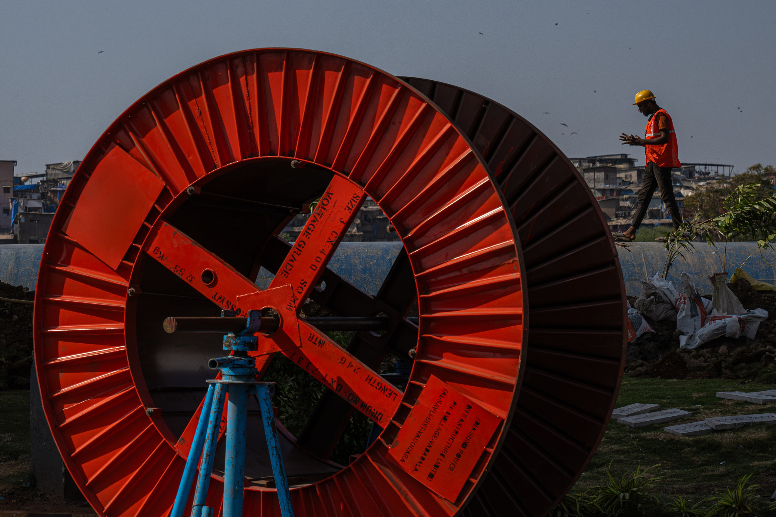 India 2024-2025. Dimitri Bakhtadze photographer