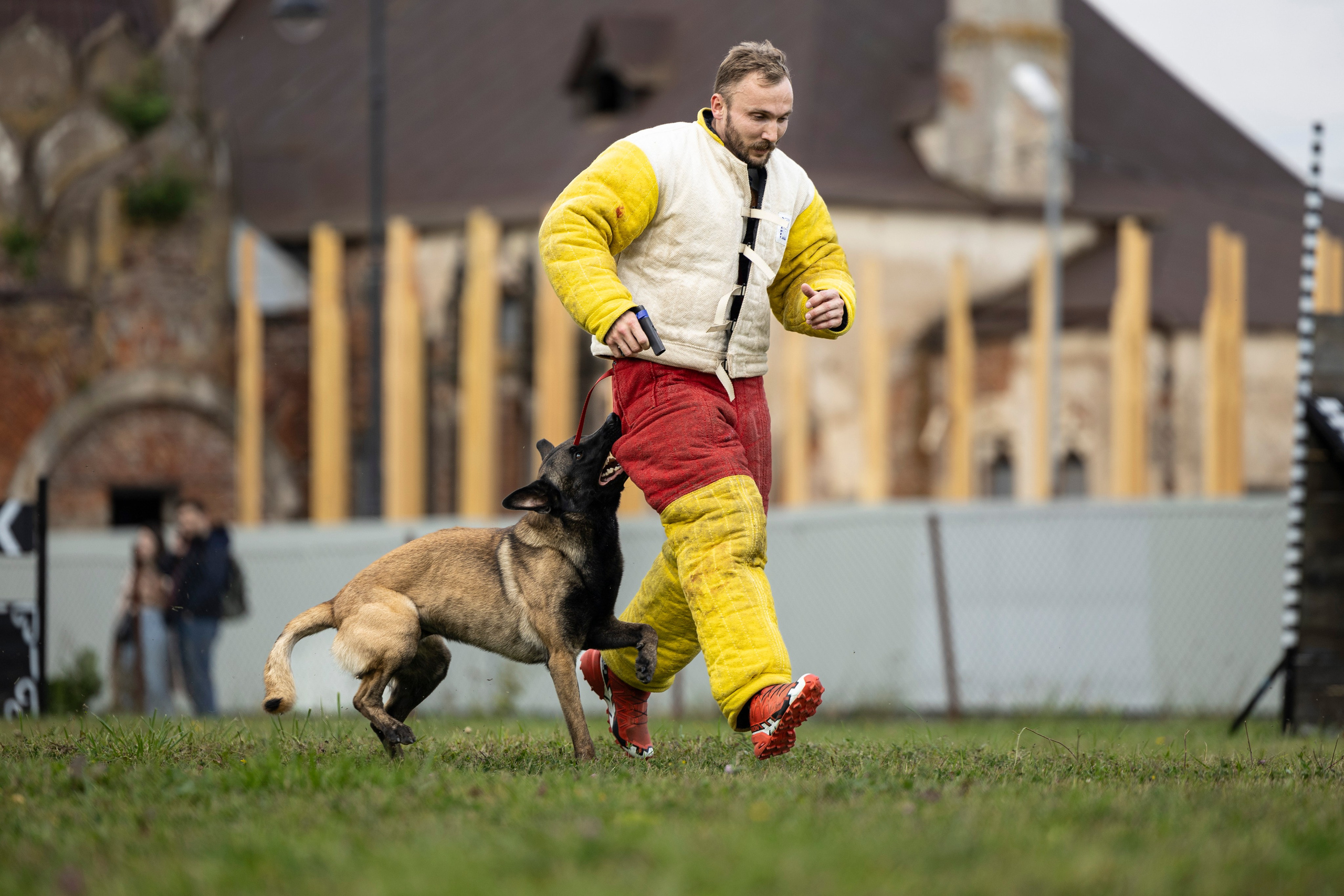 Испытания по Мондьорингу г. Пушкин. Фотограф-анималист Анна Маринич