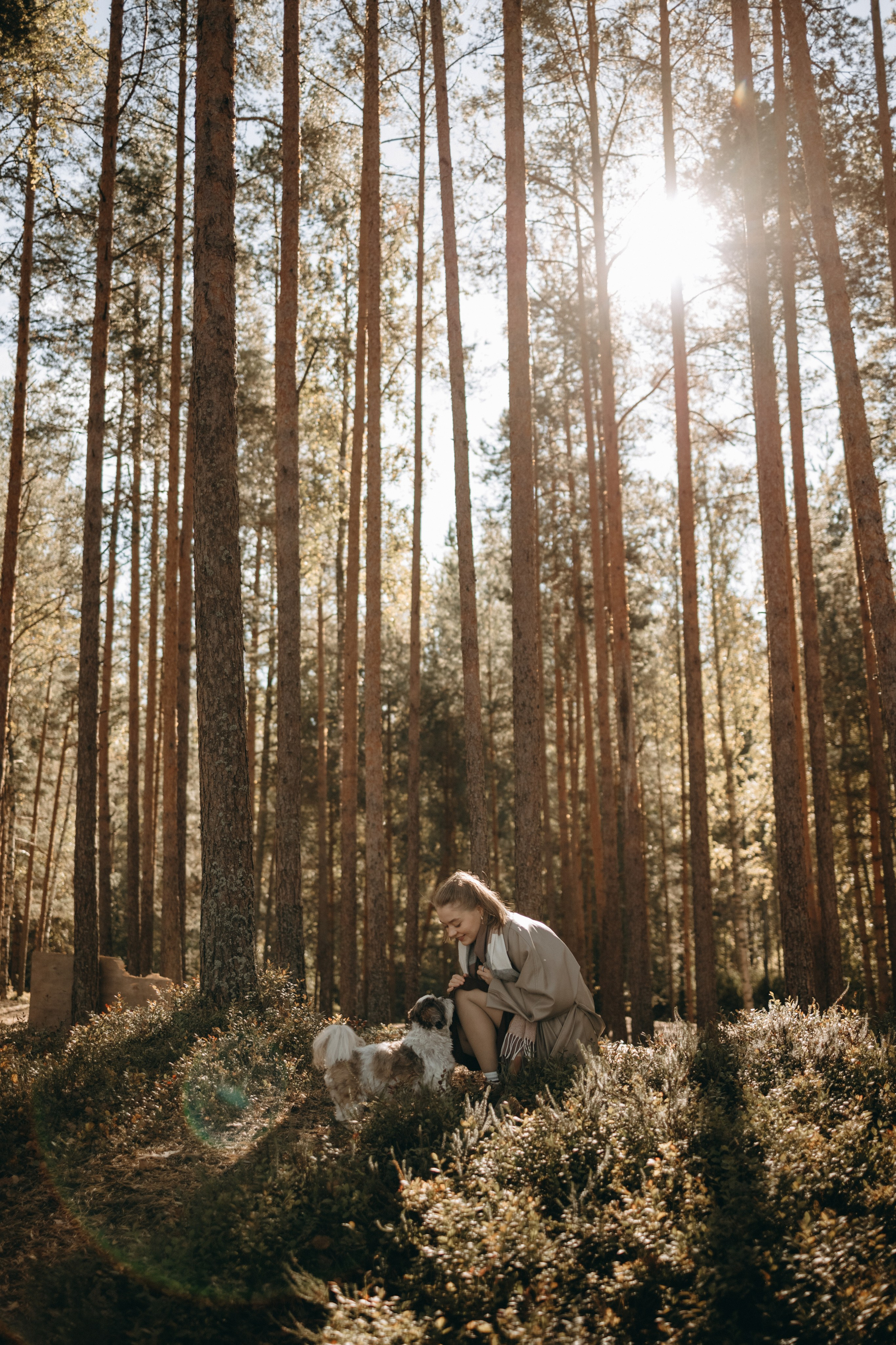 Настя и Франт. Фотограф — Анималист | Санкт-Петербург