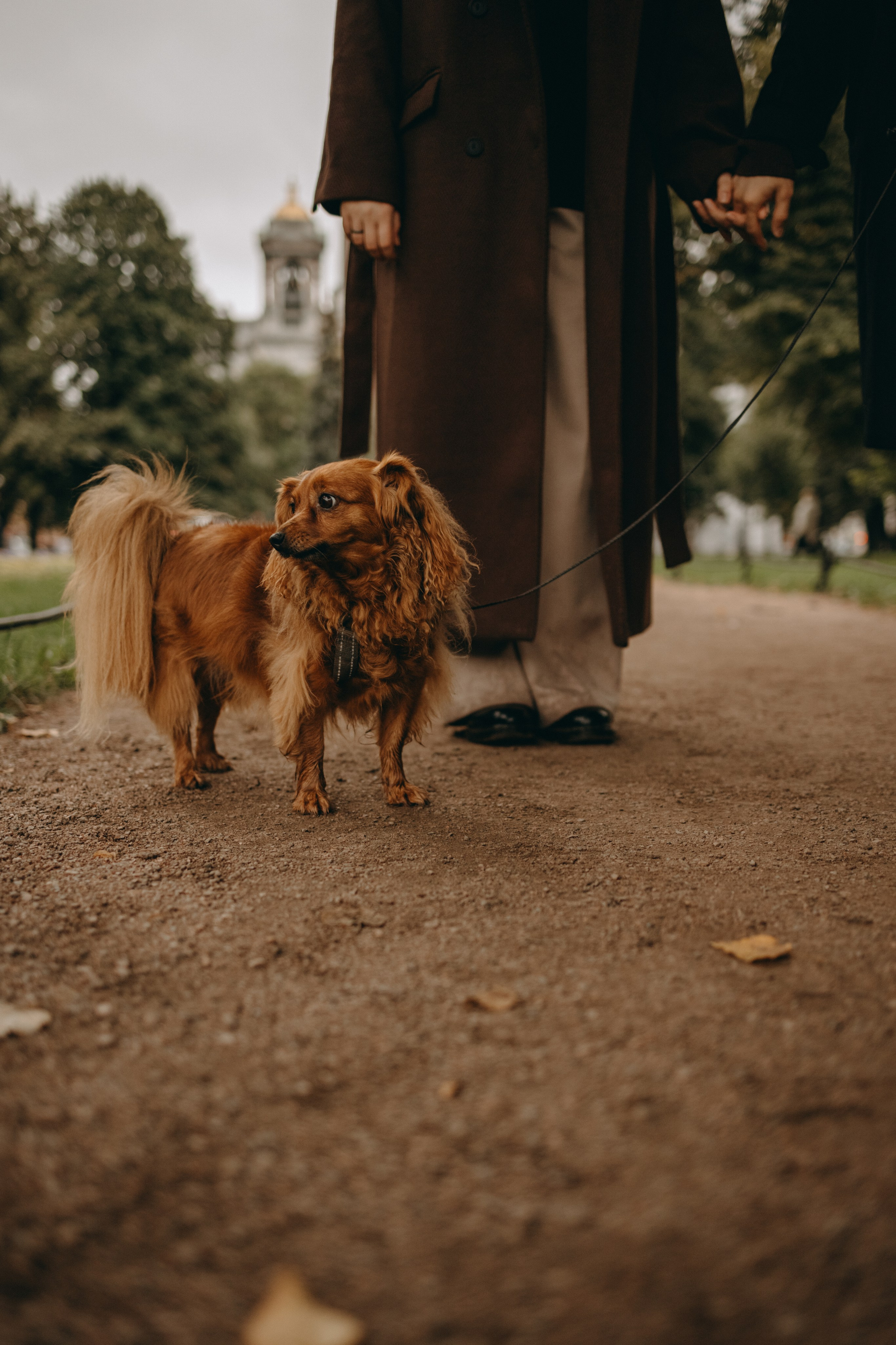 Жу и ее семья. Фотограф — Анималист | Санкт-Петербург