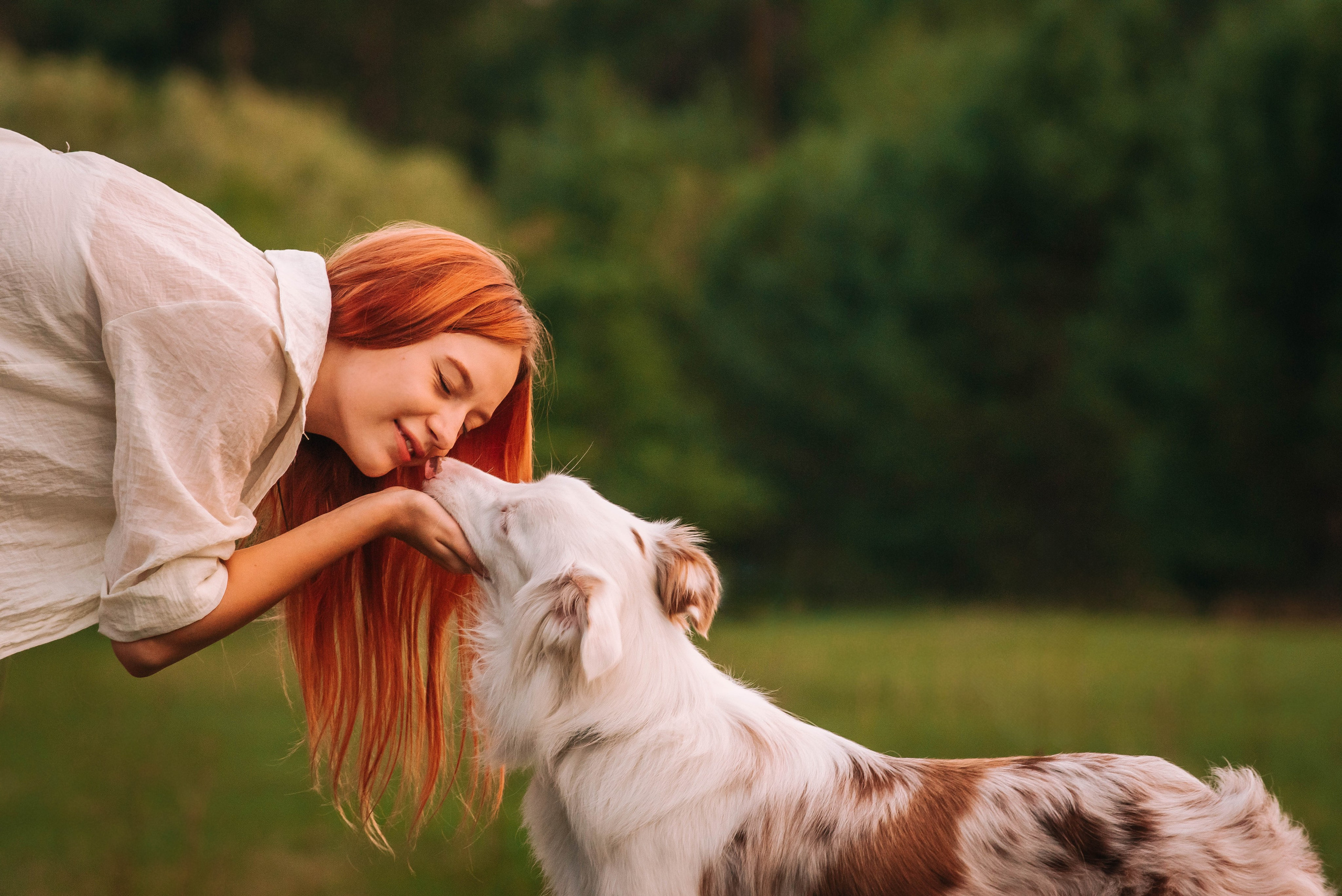Лиза и Айви. Главная