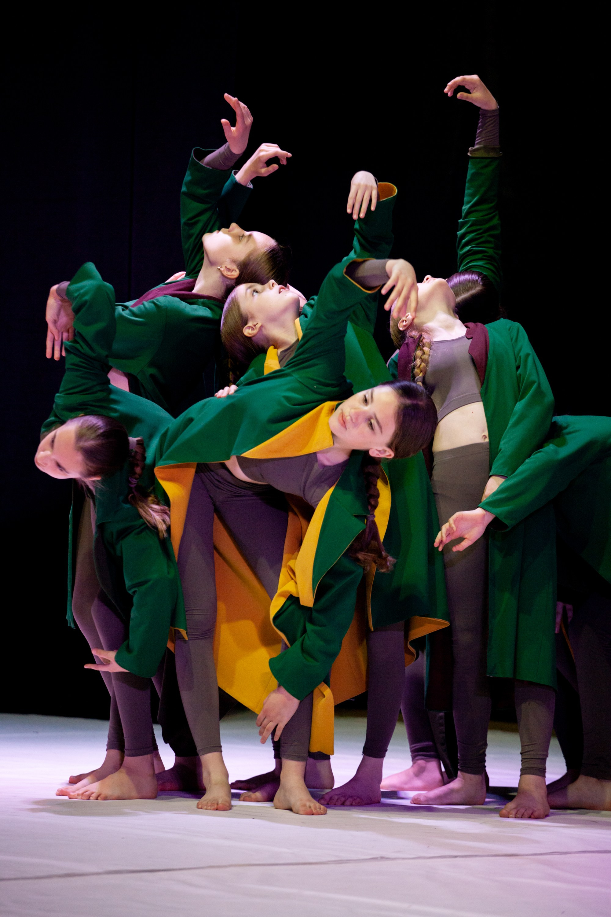 Концерты. Виолетта Скрипка