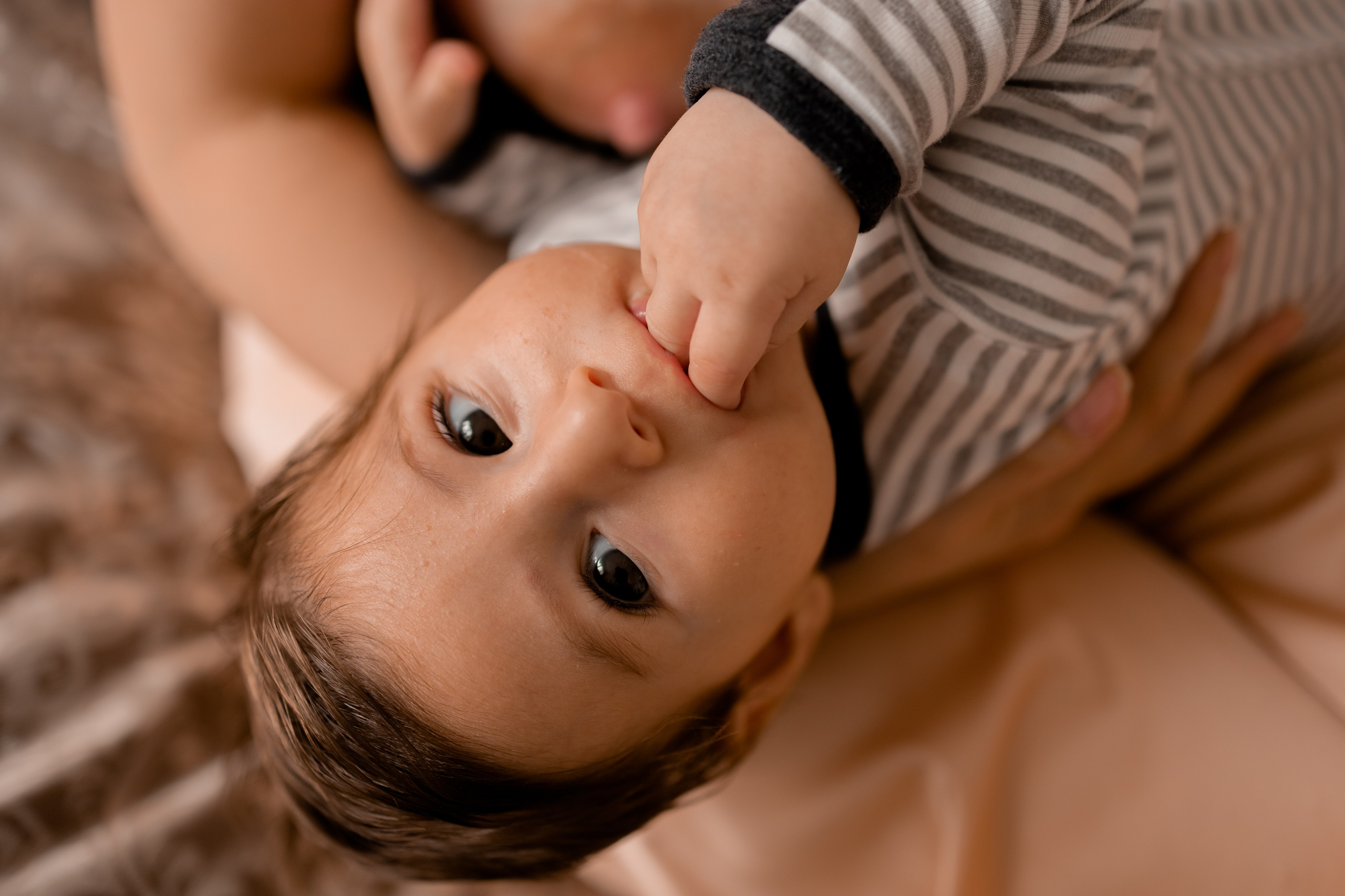 Артур, Лика, Давид. Фотограф беременности и материнства в Москве Мария Менендес-Гонсалес