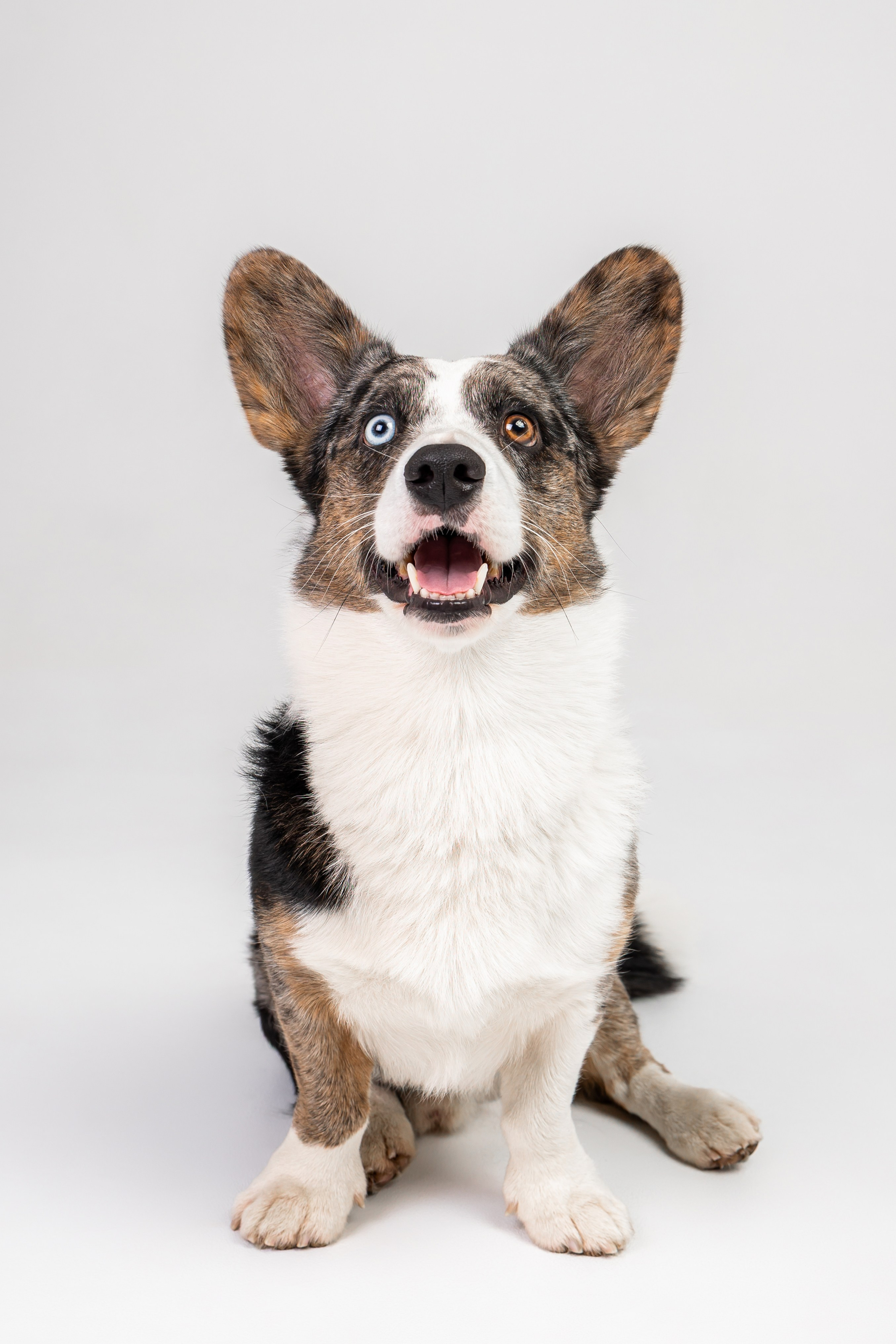 Анатолий и Рагнар