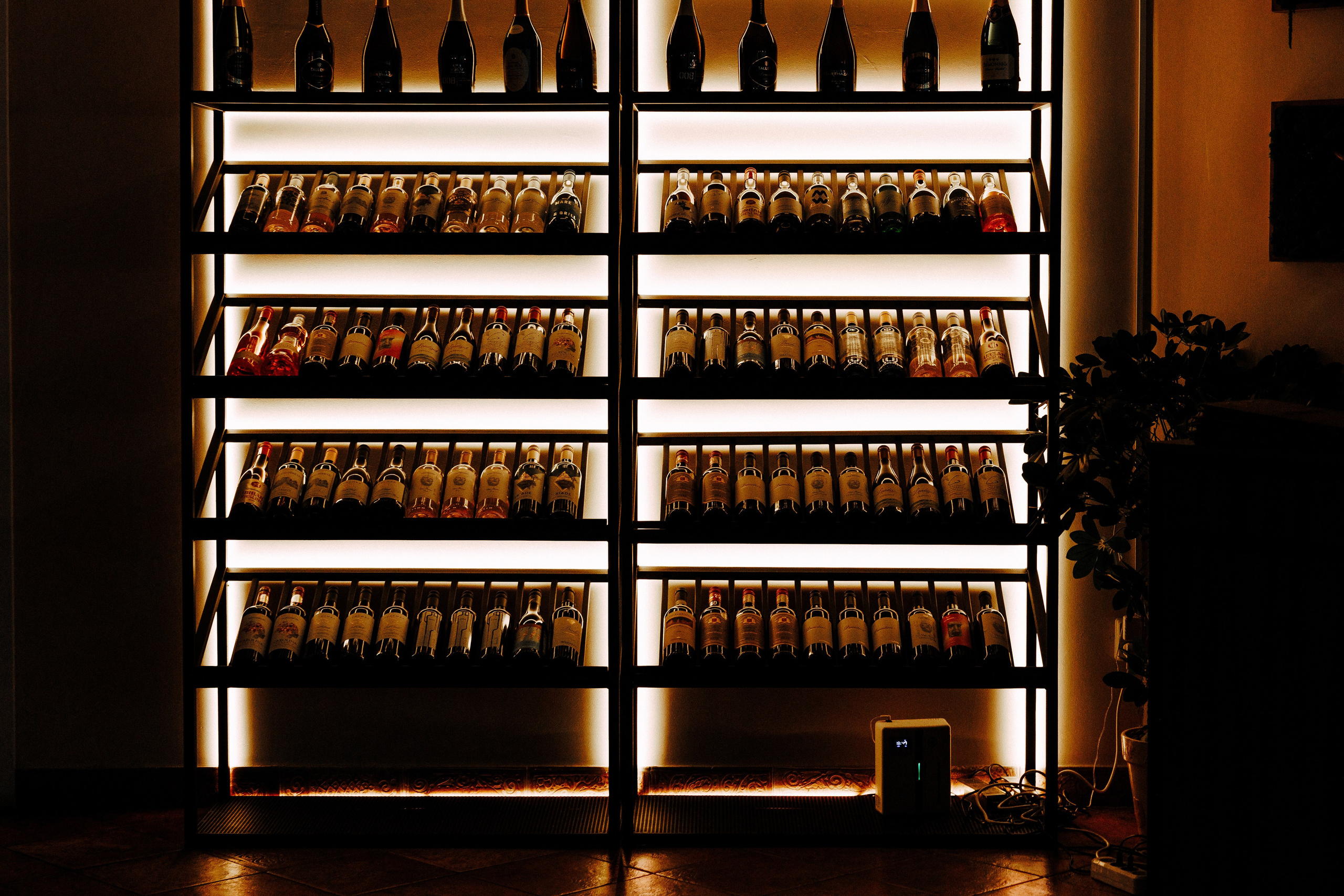 Фотограф Евгений Топаз