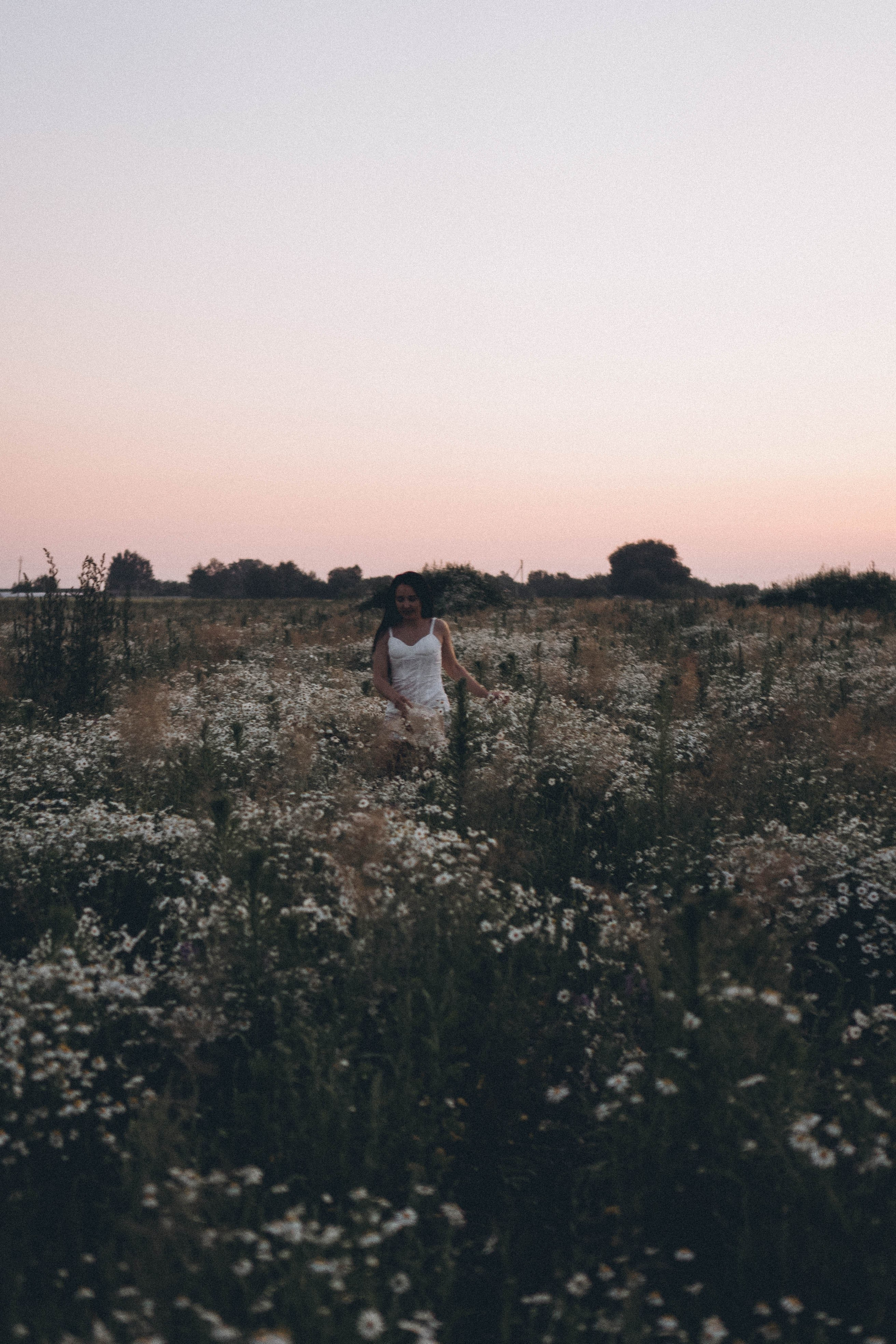 Ромашковое поле. Профессиональный фотограф, Санкт-Петербург — Виктория Богомолова