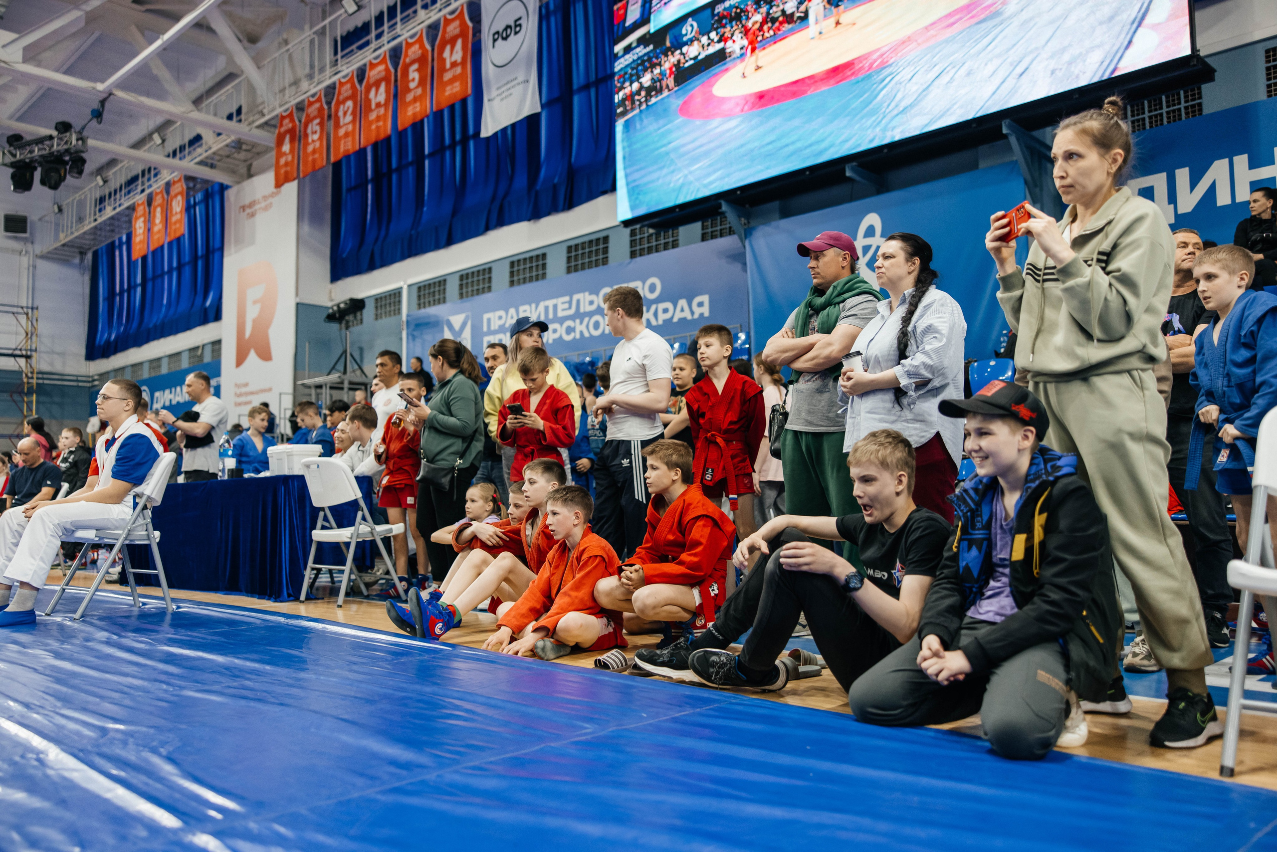 Sambo Championship. Maxim Tsoy Photography