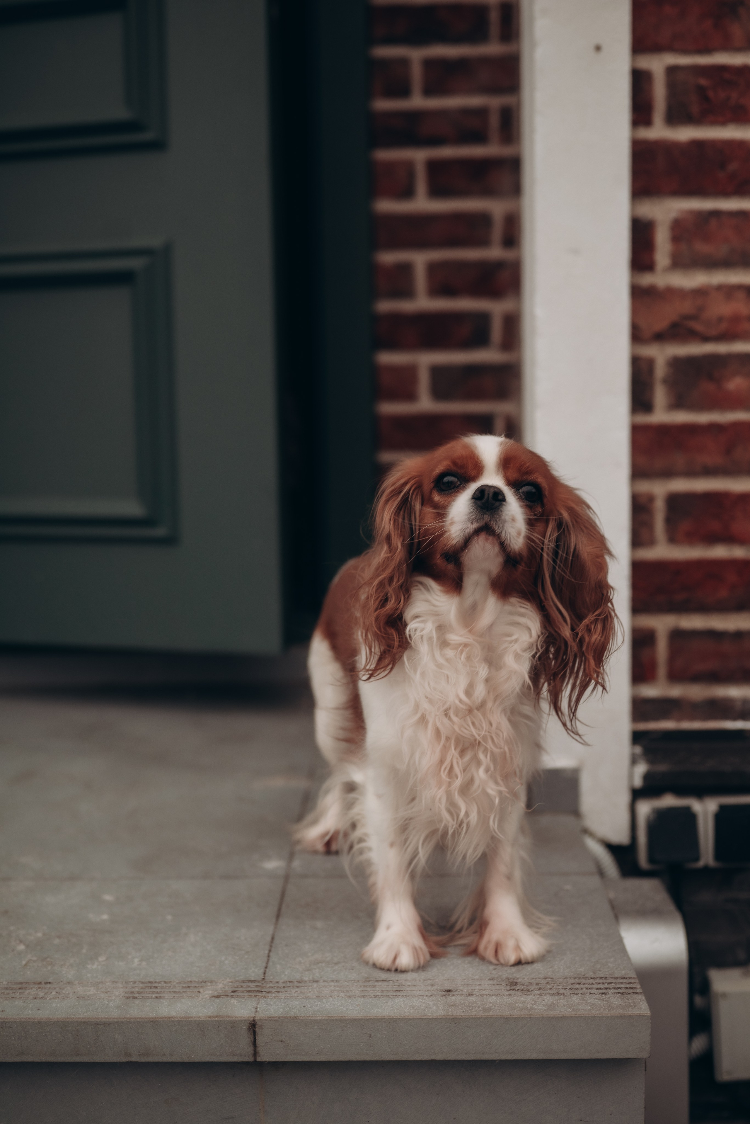 Маргарита и Родион. Семейный фотограф в Москве Дарья Пузикова