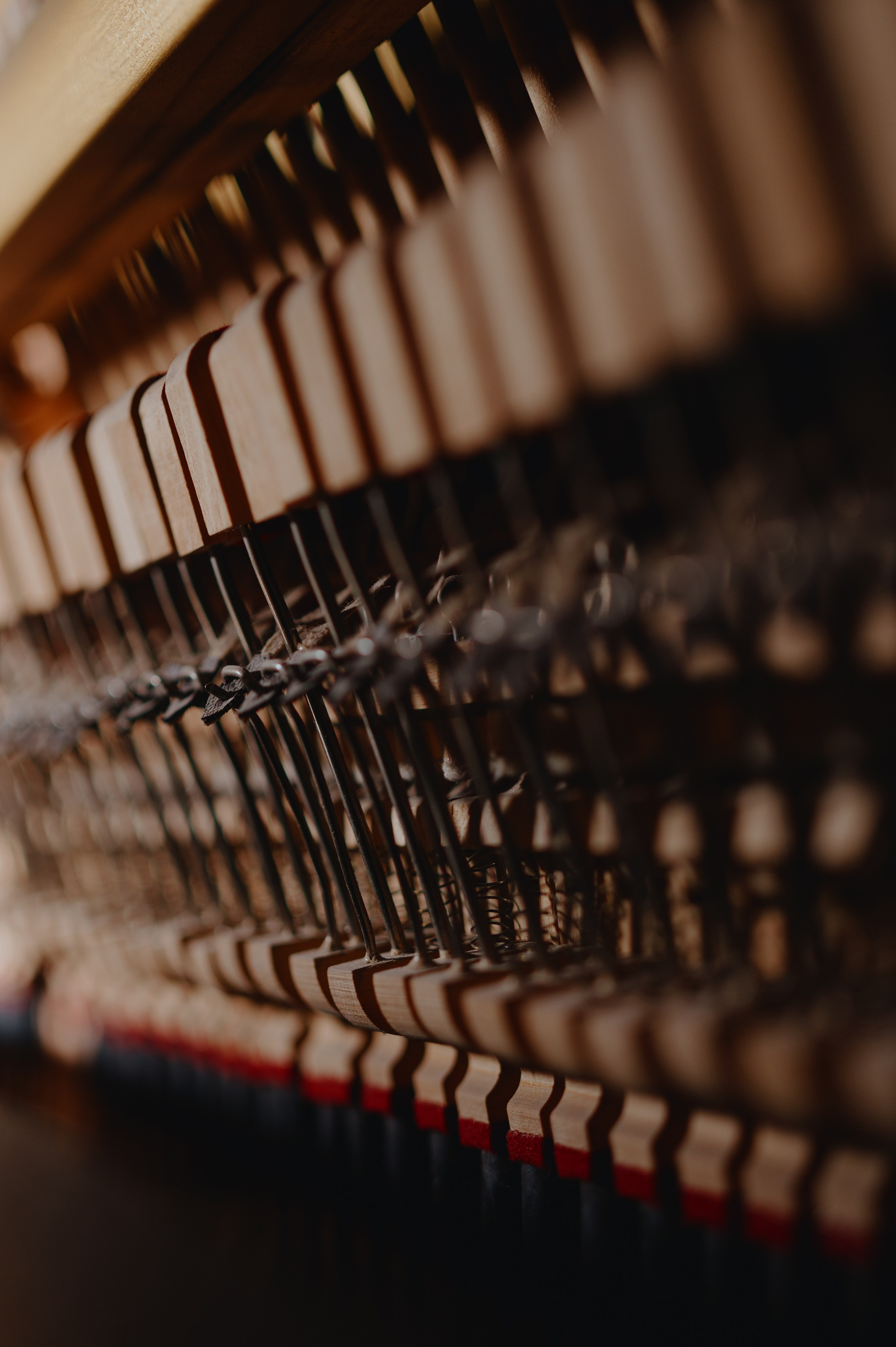 Контент фотограф Илья Урс