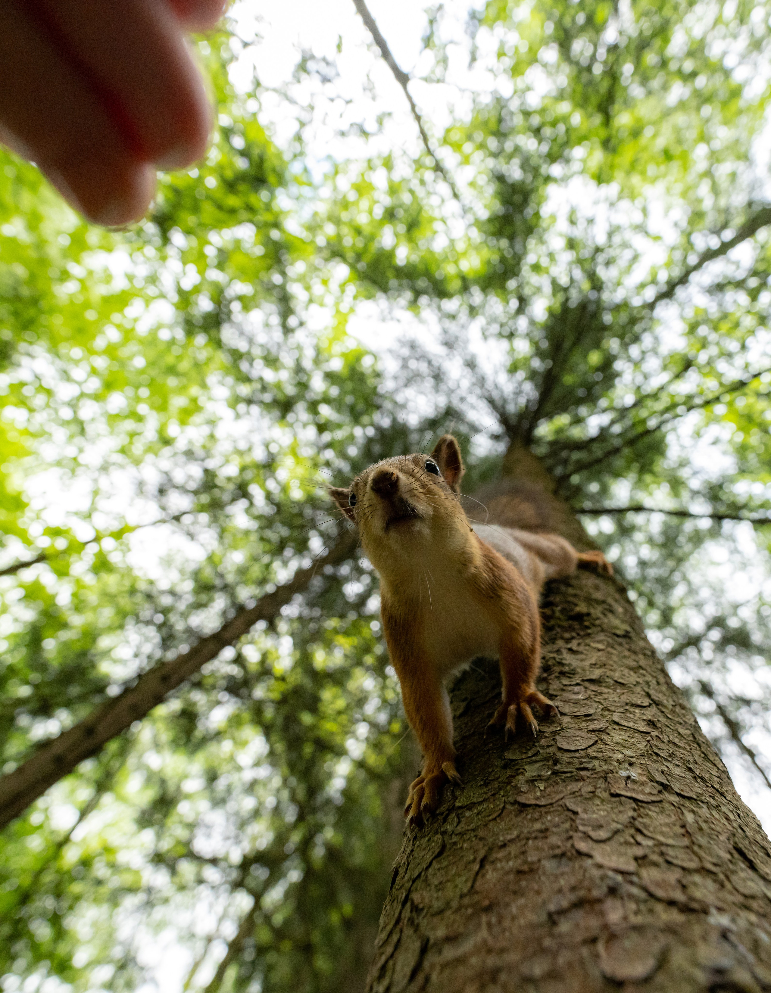 ДЛЯ ДУШИ. Фотограф в Санкт-Петербурге Данил Макаров