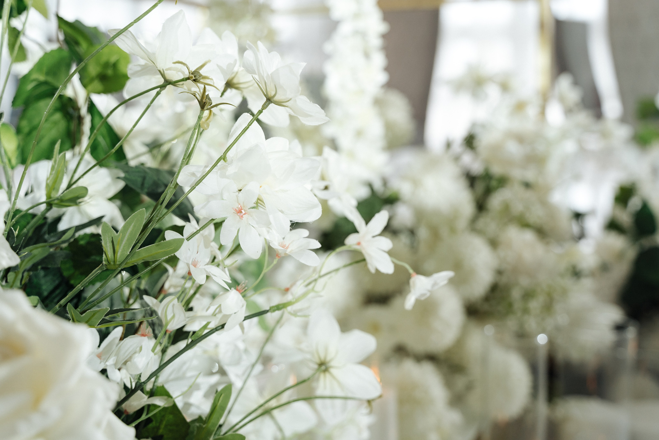 В & Т. Свадебный фотограф  Ростов-на-Дону Моска, Санкт — Петербург