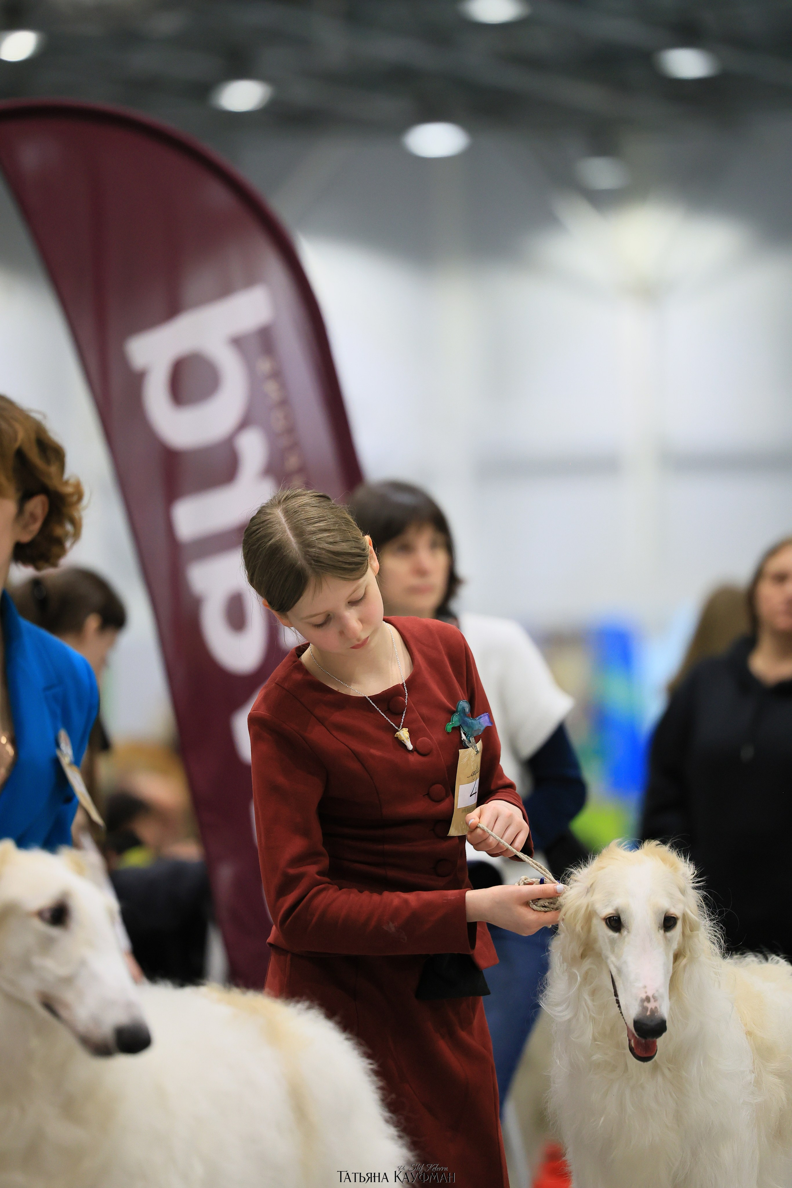 28-29.03.2026 Рейтинговая выставка в Новосибирске. Фотограф Анималист из Новосибирска Татьяна Кауфман