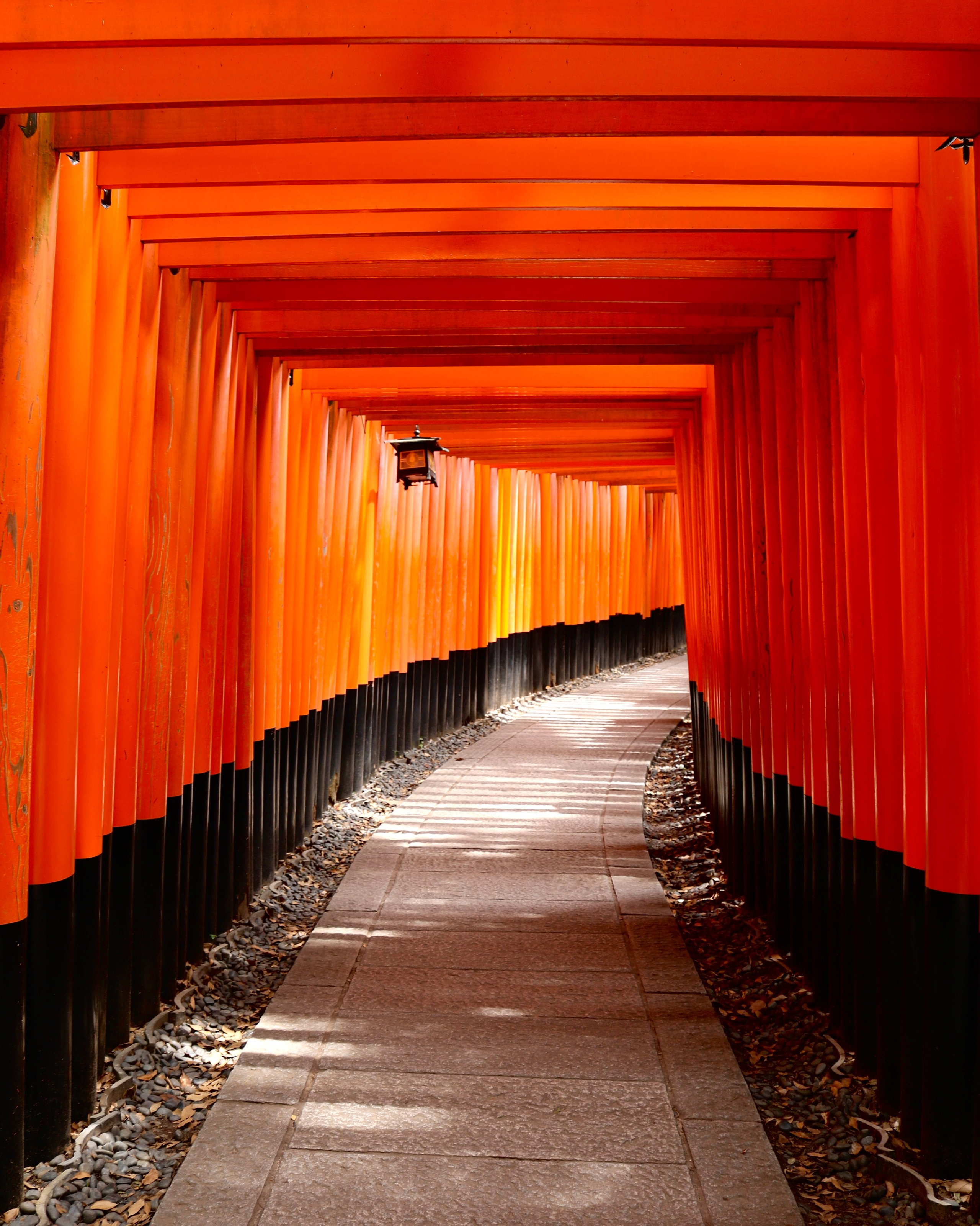 Kyoto. Фотограф Алина Диева Москва | Токио