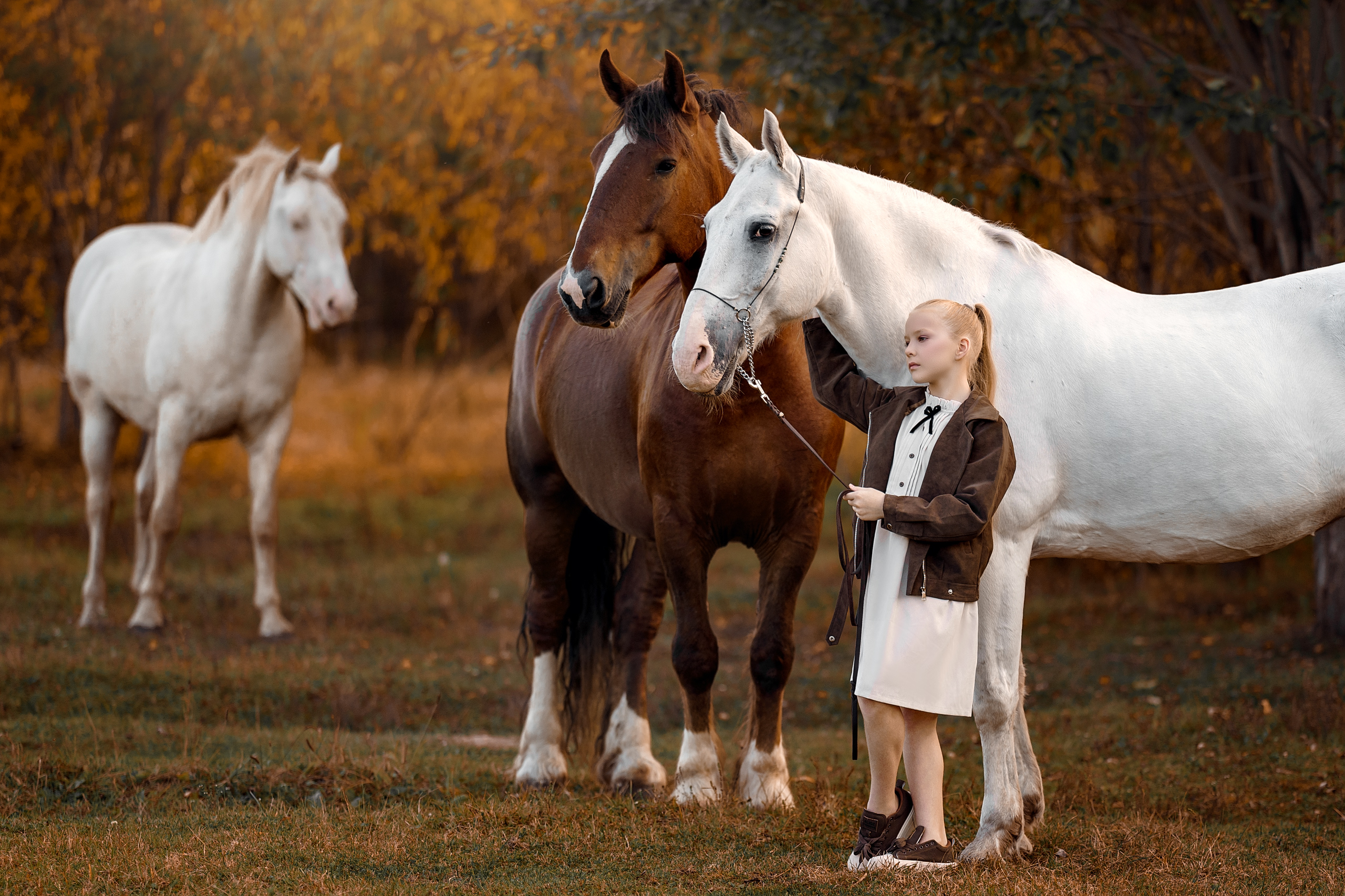 Фотосессии с лошадьми. Фотограф Артемьева Катерина|фотосессии с лошадьми