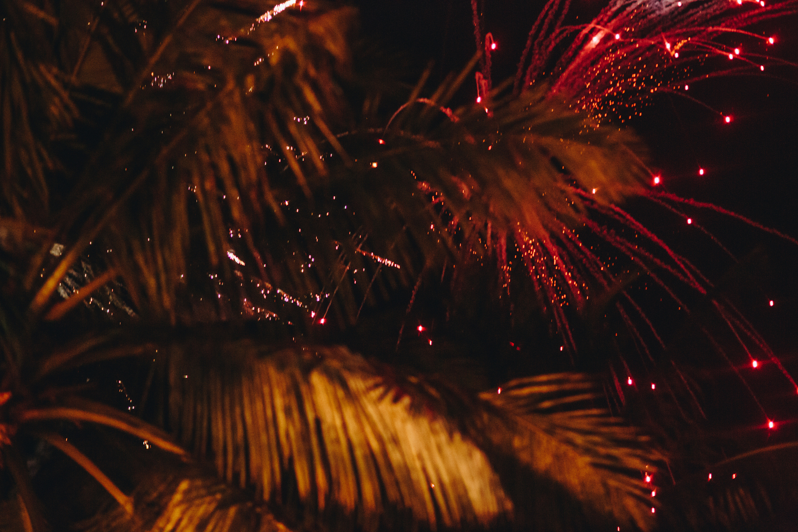 Вечеринка компании EWA в Angel Beach (Унаватуна, Шри-Ланка). Фотограф Марина Каныгина (Федосеева)