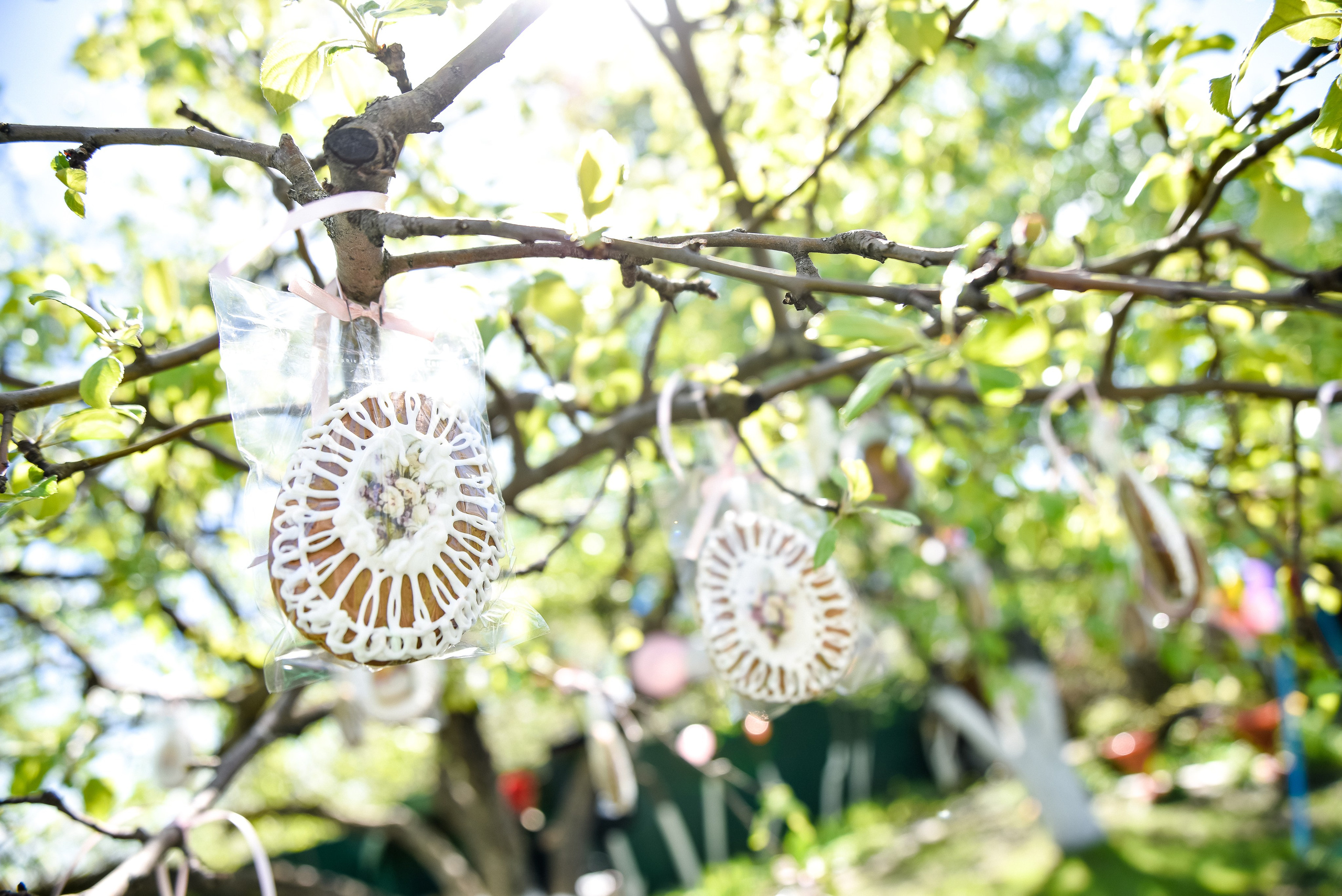 Софии 10 лет