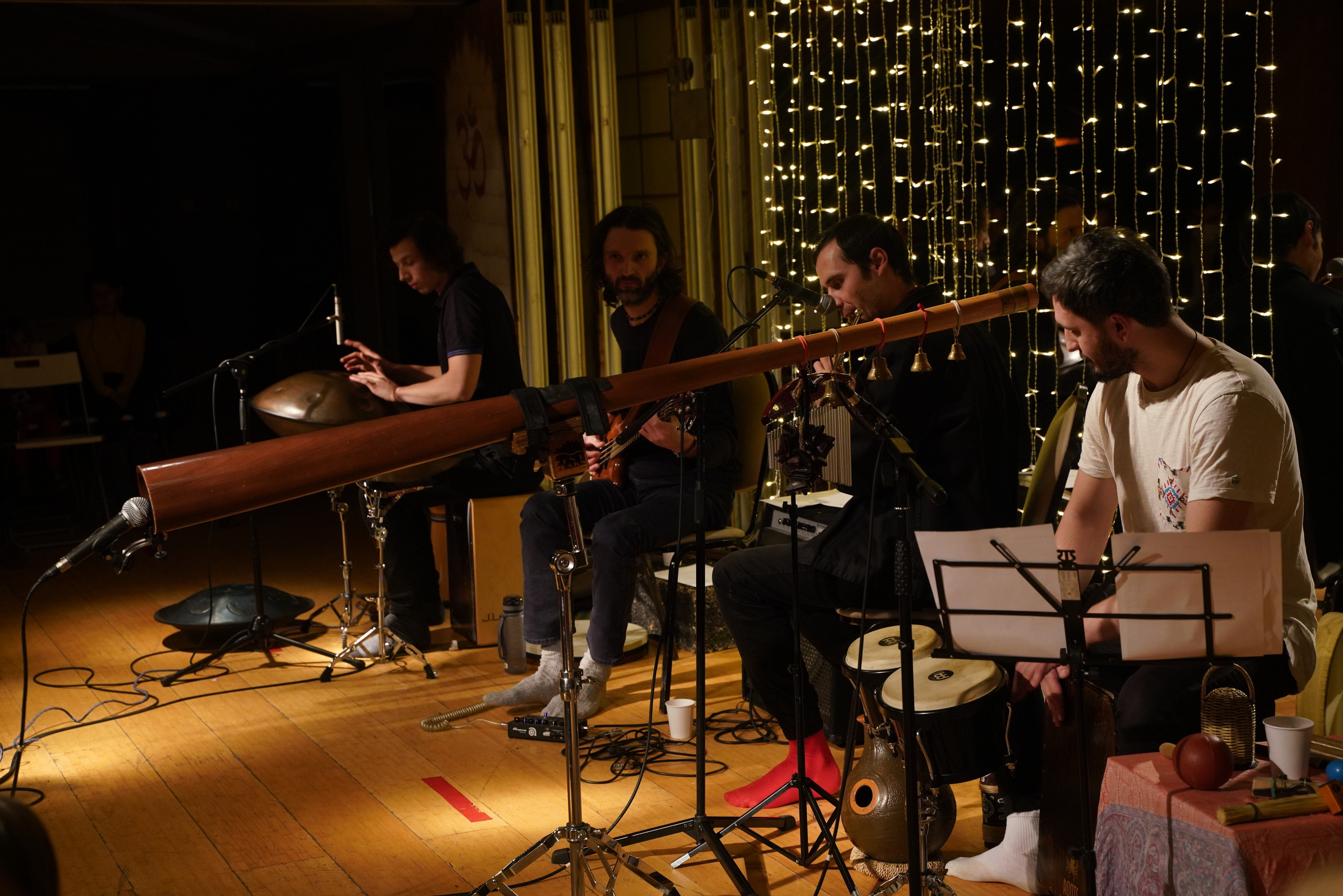 Концерт Forest jam project. Портретный и репортажный фотограф Наталья Горобец