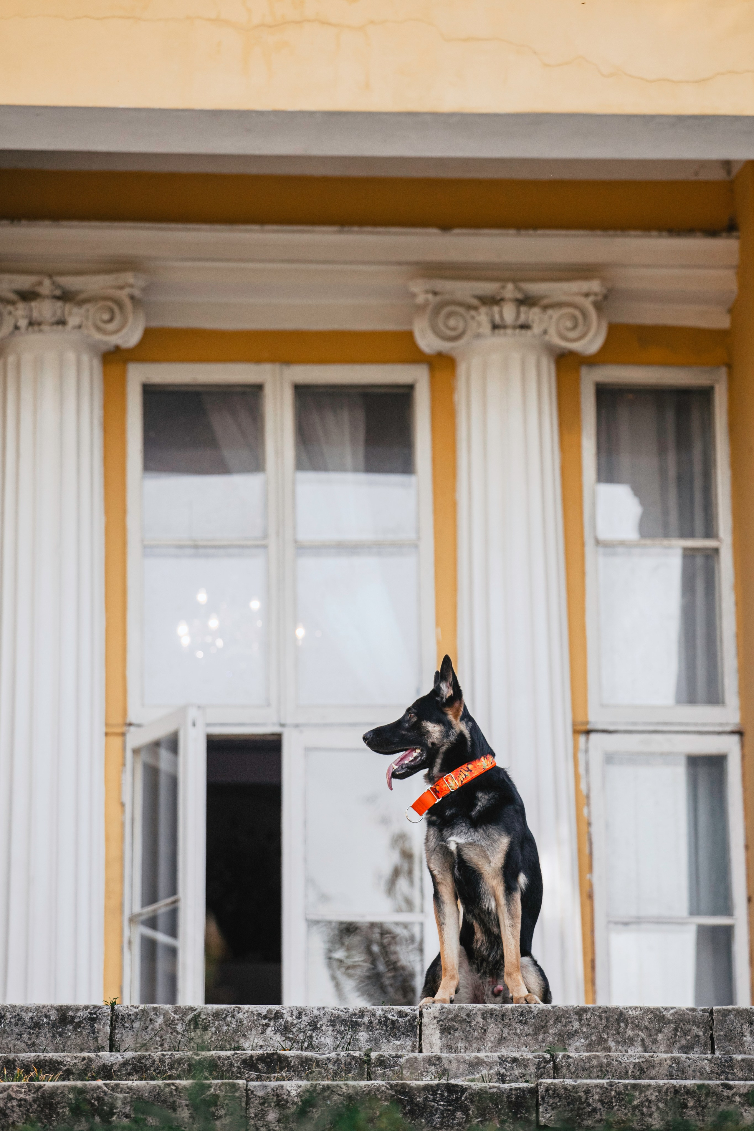 Илай. Фотограф-анималист Татьяна Степанова