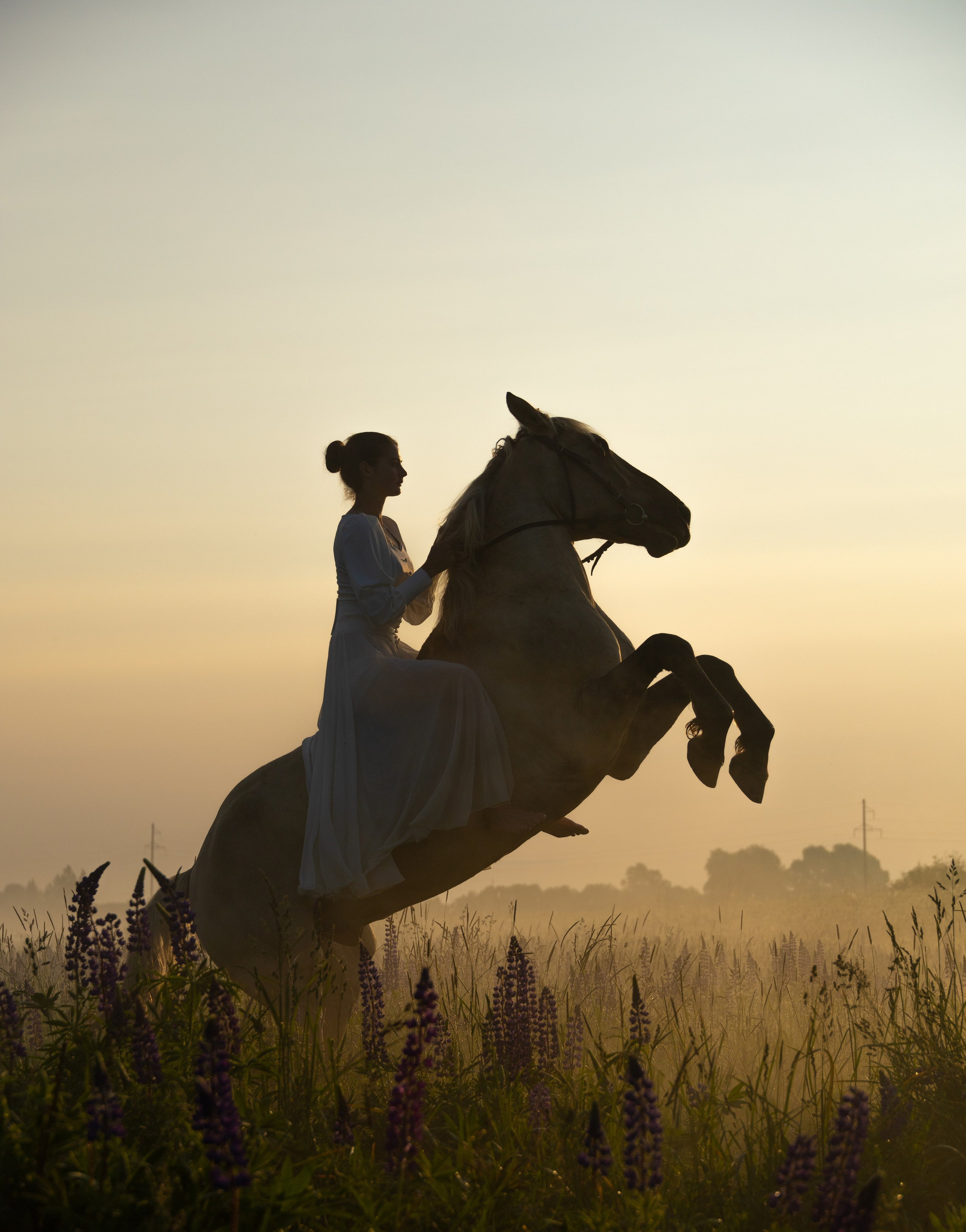 Съёмки с животными. Фотограф в Москве. София Казьмина
